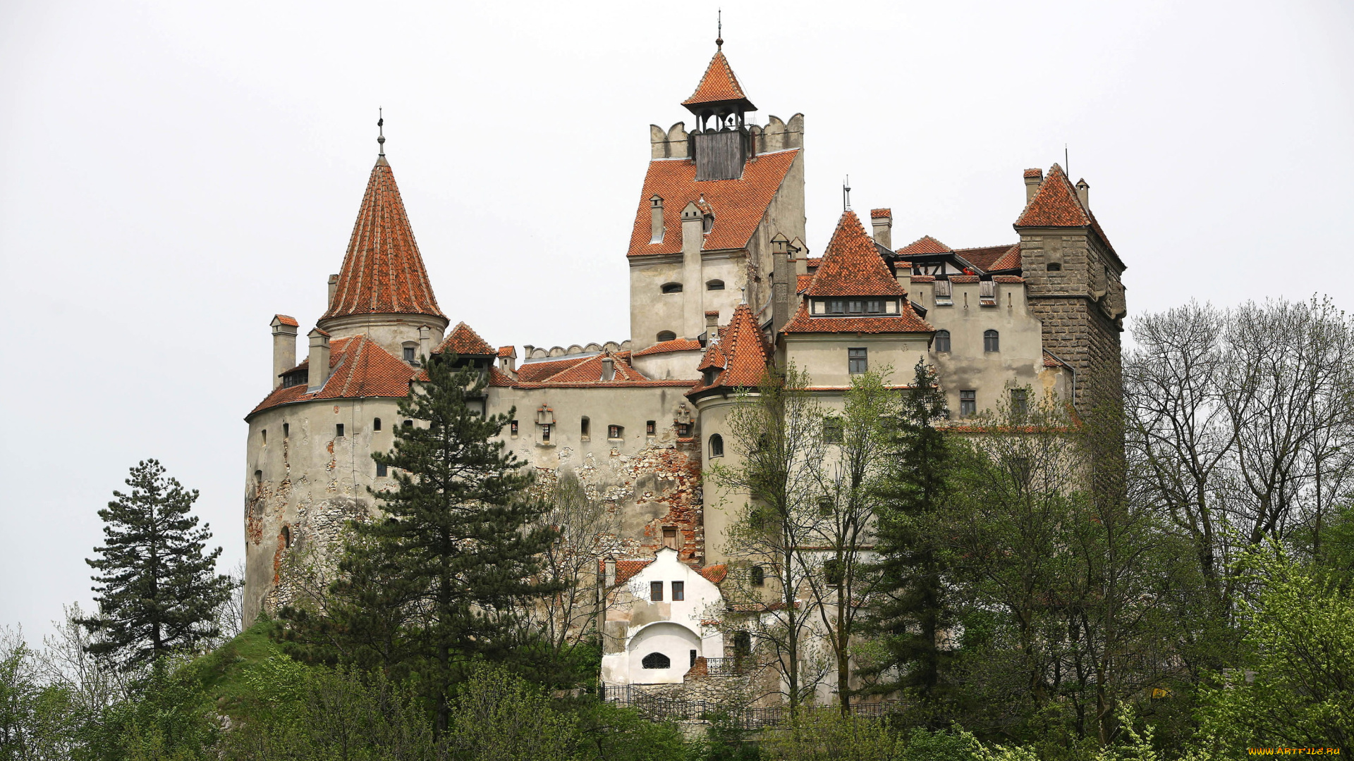 bran, castle, румыния, города, -, дворцы, , замки, , крепости, деревья, castle, bran, замок, румыния