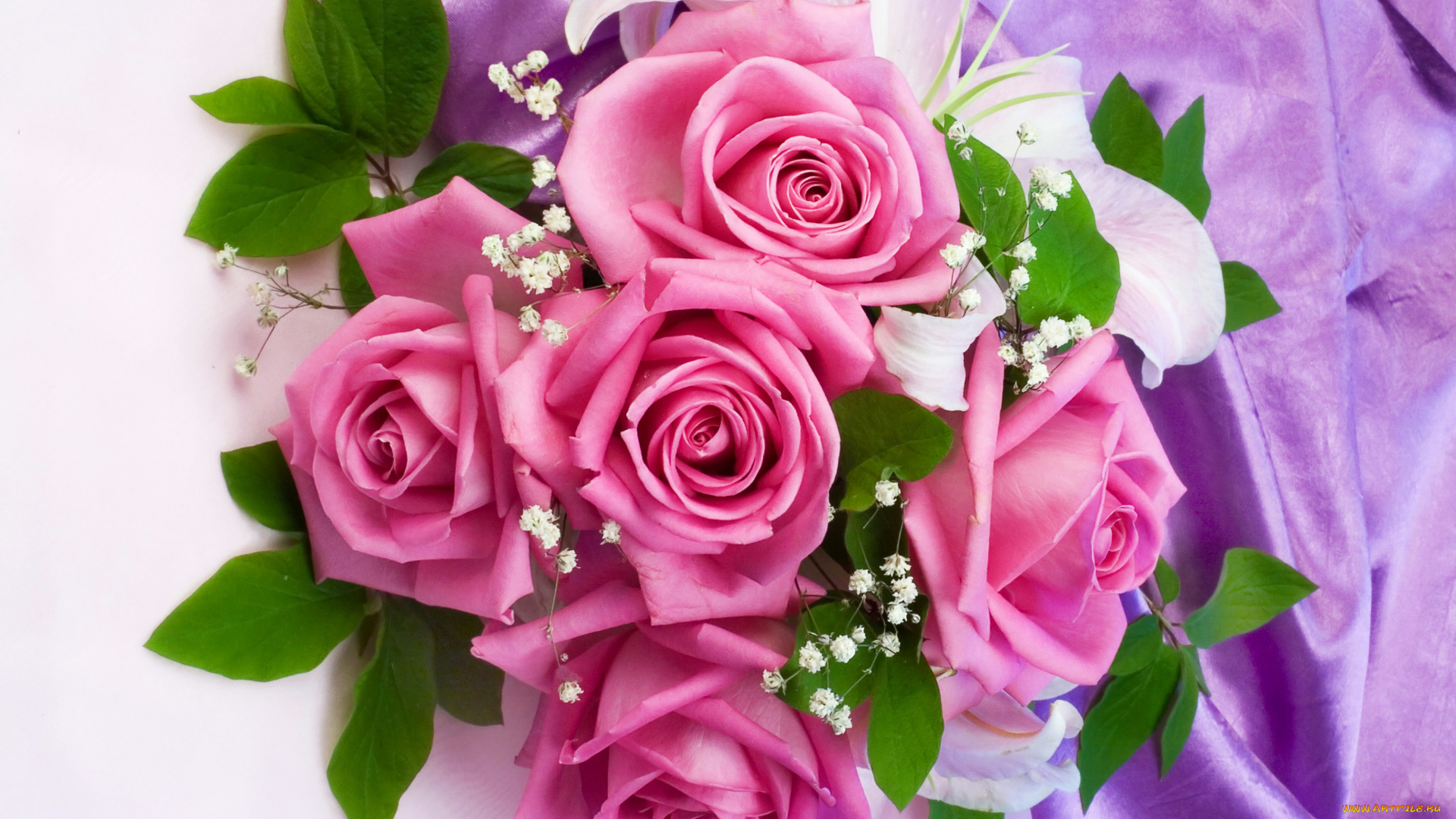 цветы, букеты, , композиции, розы, букет, розовые