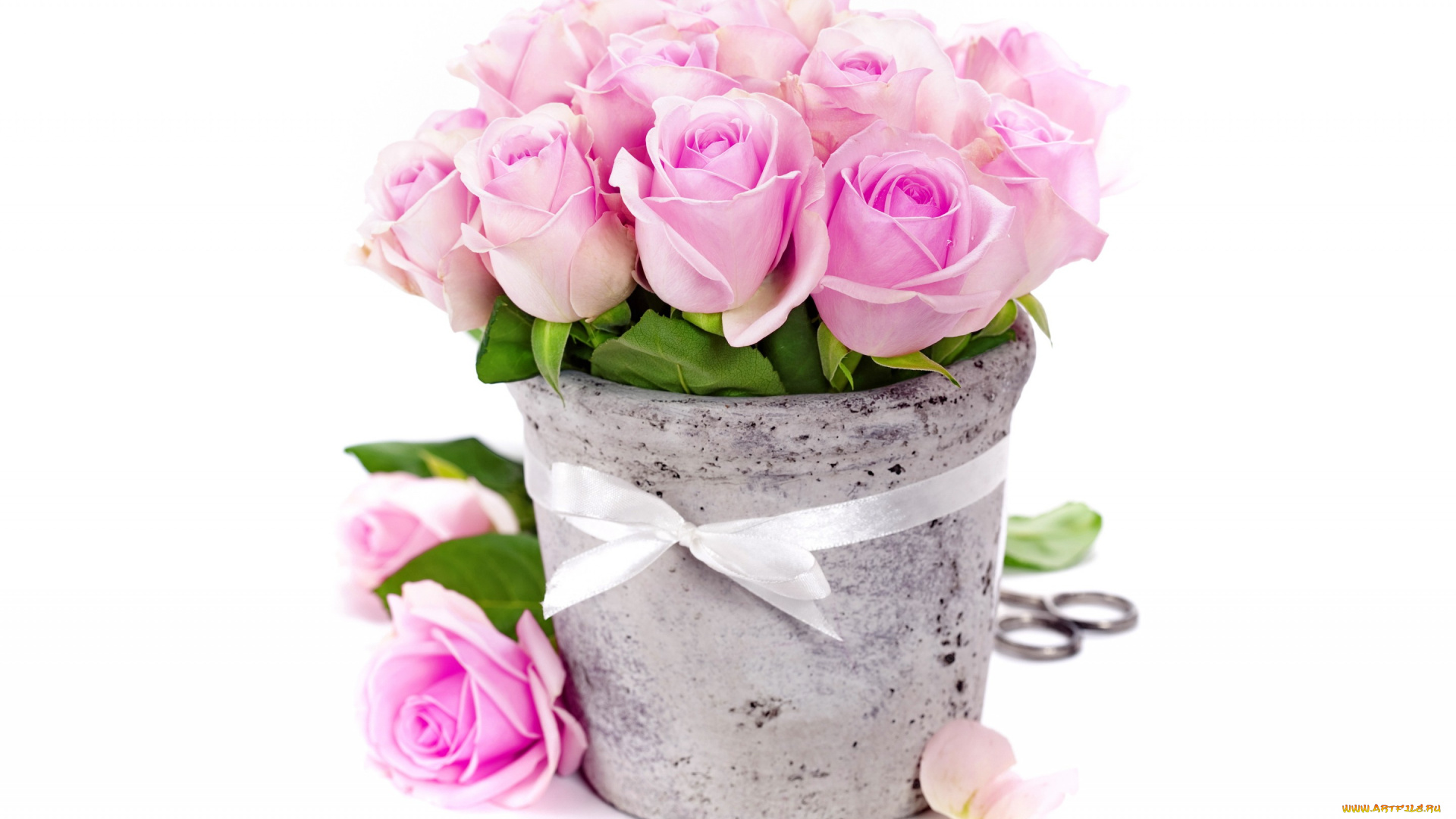 цветы, розы, букет, ваза, romantic, bouquet, ribbon, roses, pink