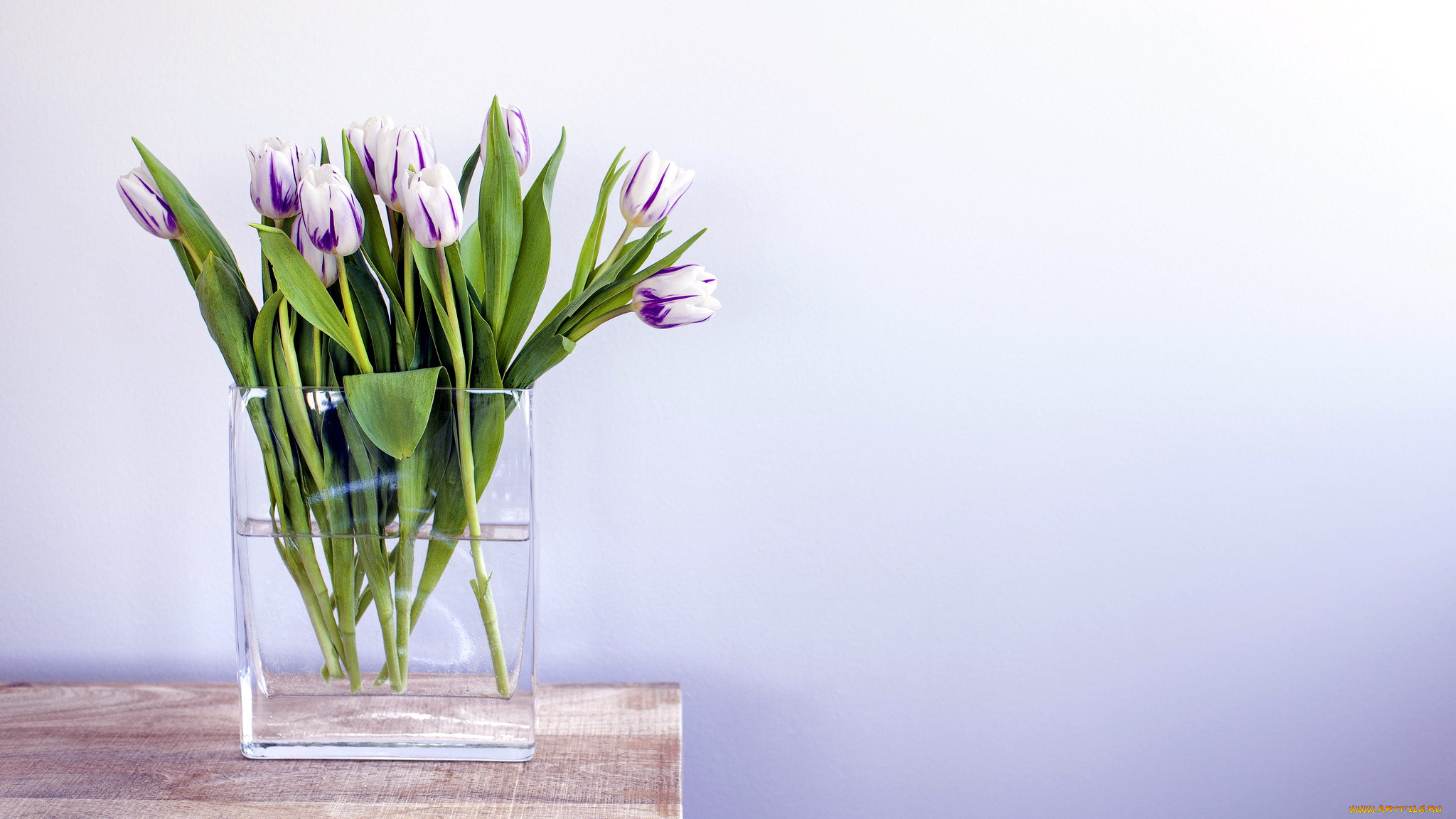 цветы, тюльпаны, прозрачная, ваза