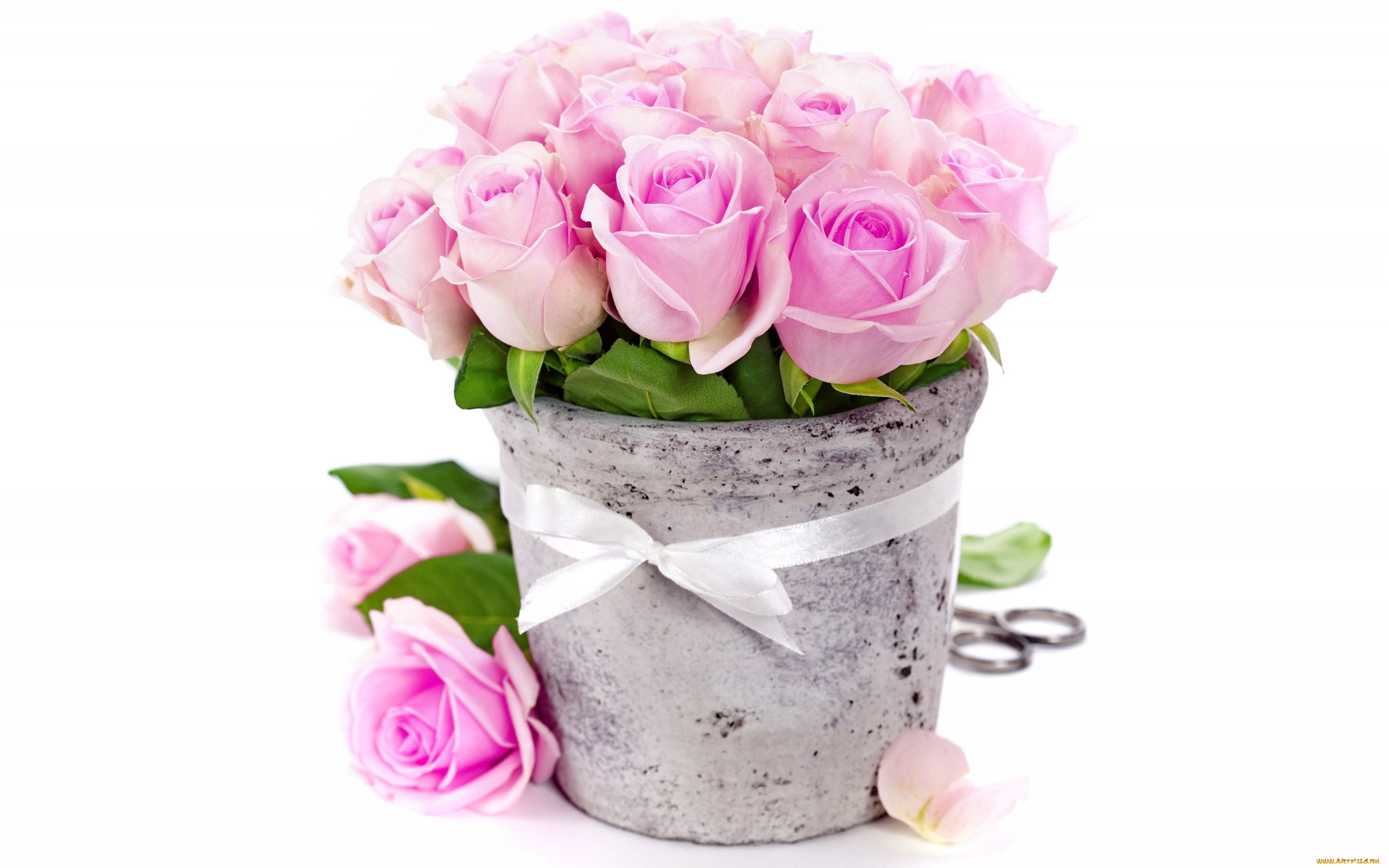 цветы, розы, букет, ваза, romantic, bouquet, ribbon, roses, pink