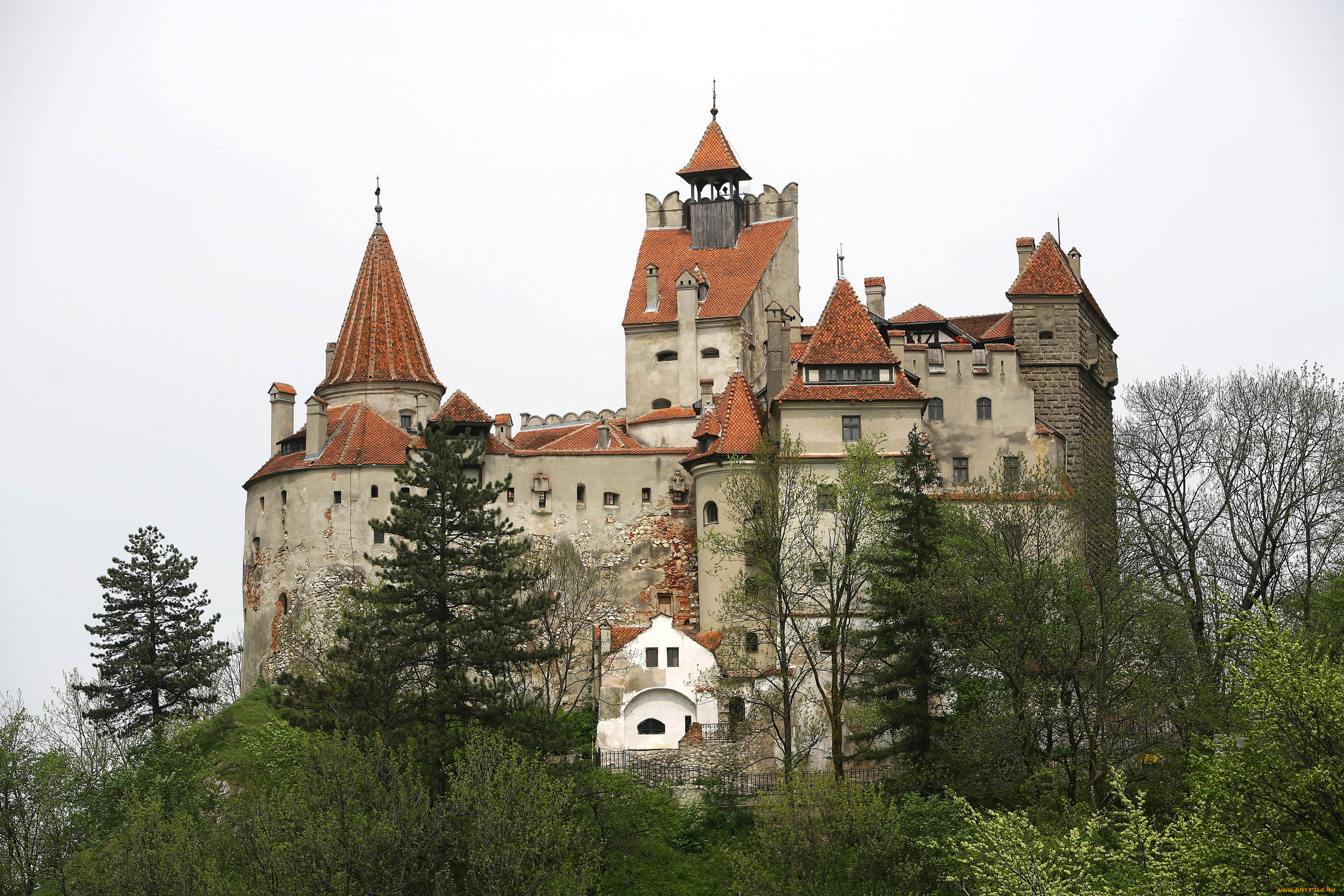 bran, castle, румыния, города, -, дворцы, , замки, , крепости, деревья, castle, bran, замок, румыния