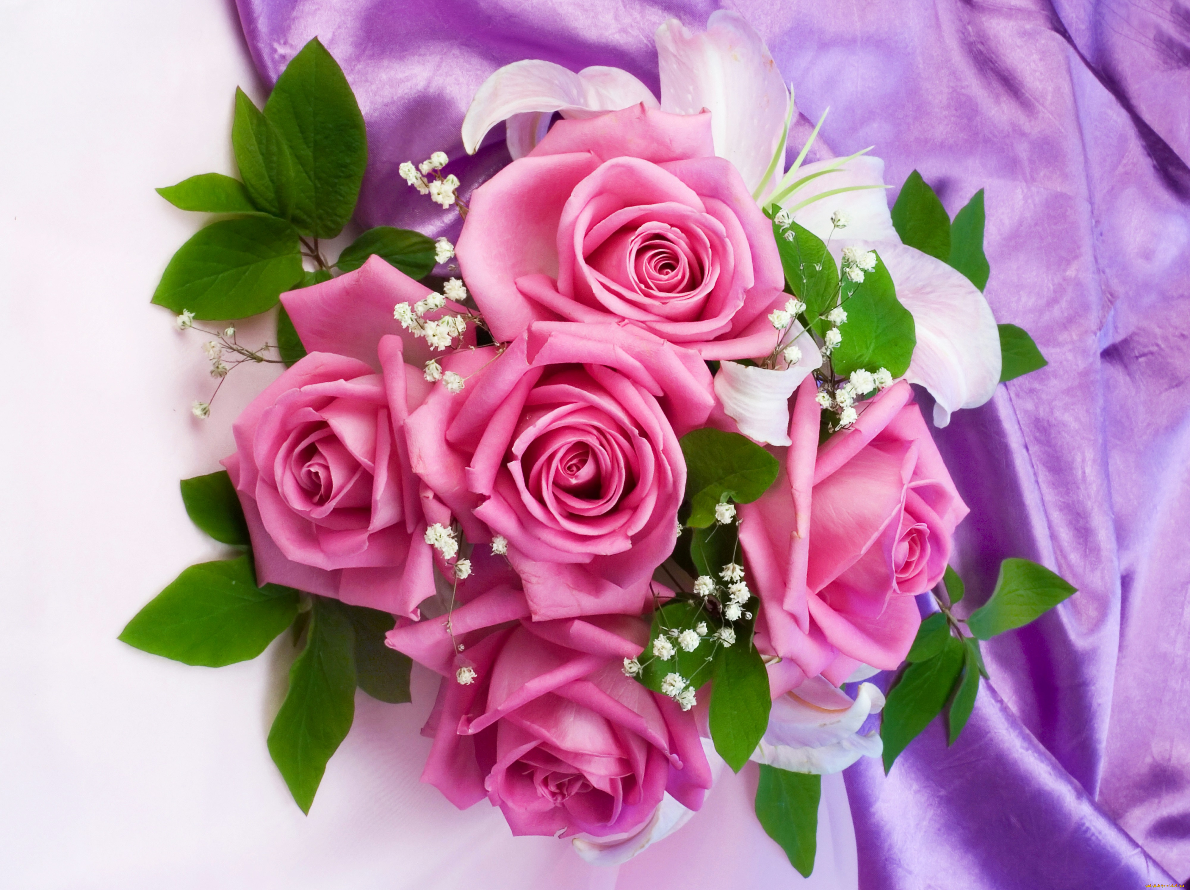 цветы, букеты, , композиции, розы, букет, розовые