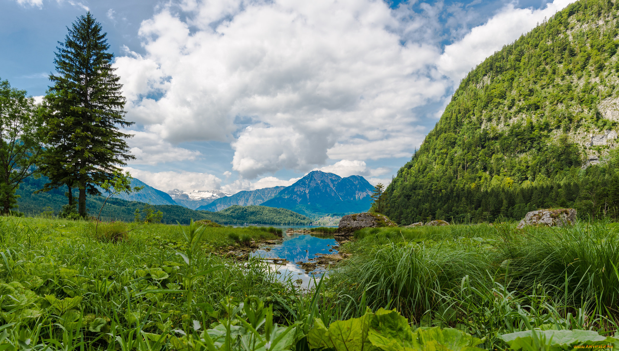 природа, реки, озера, река, лес