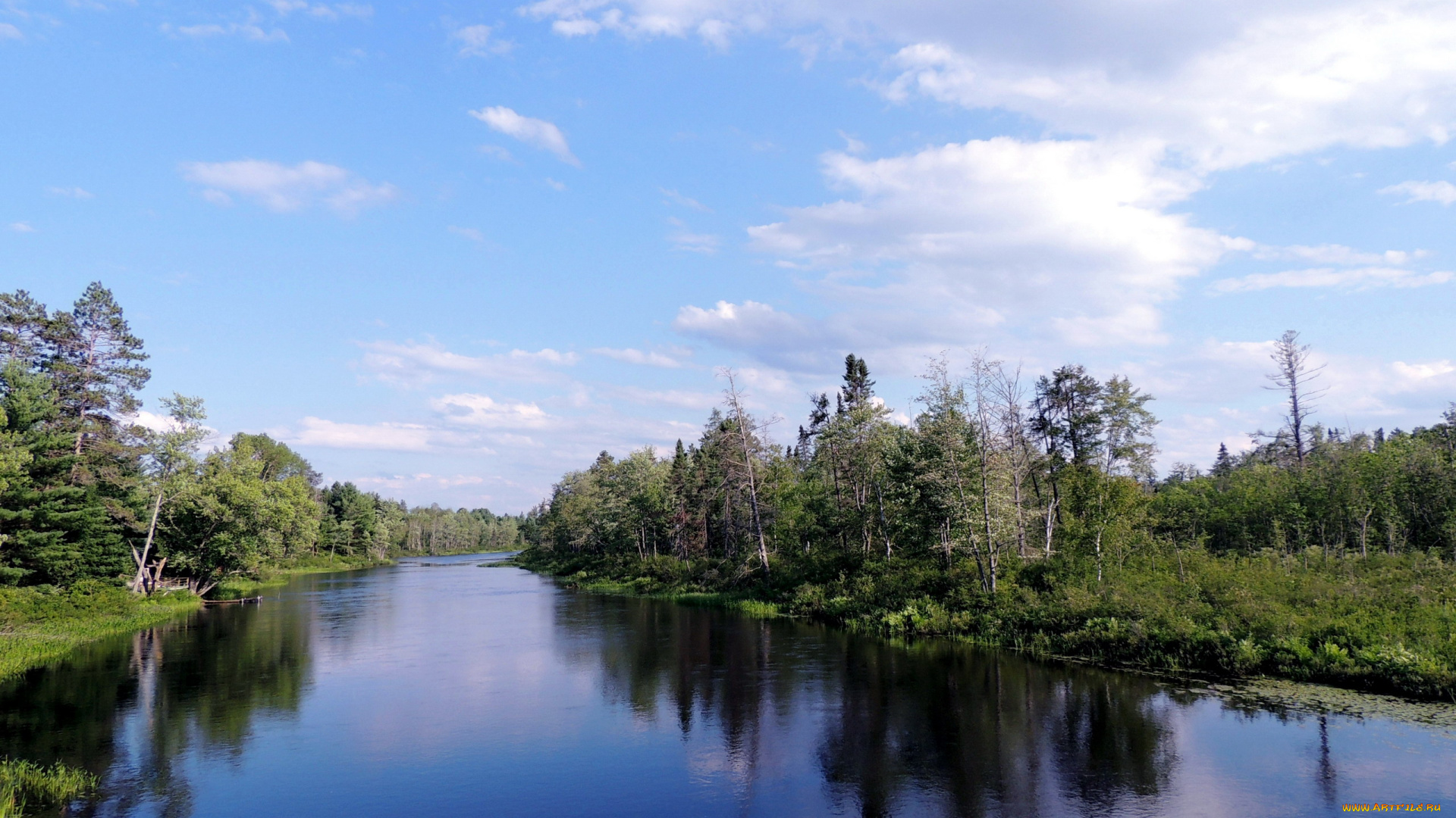 природа, реки, озера, деревья, река