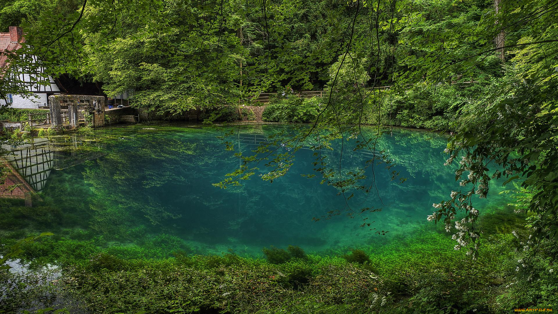 природа, реки, озера, j, blautopf, источник, блау, в, южной, германии