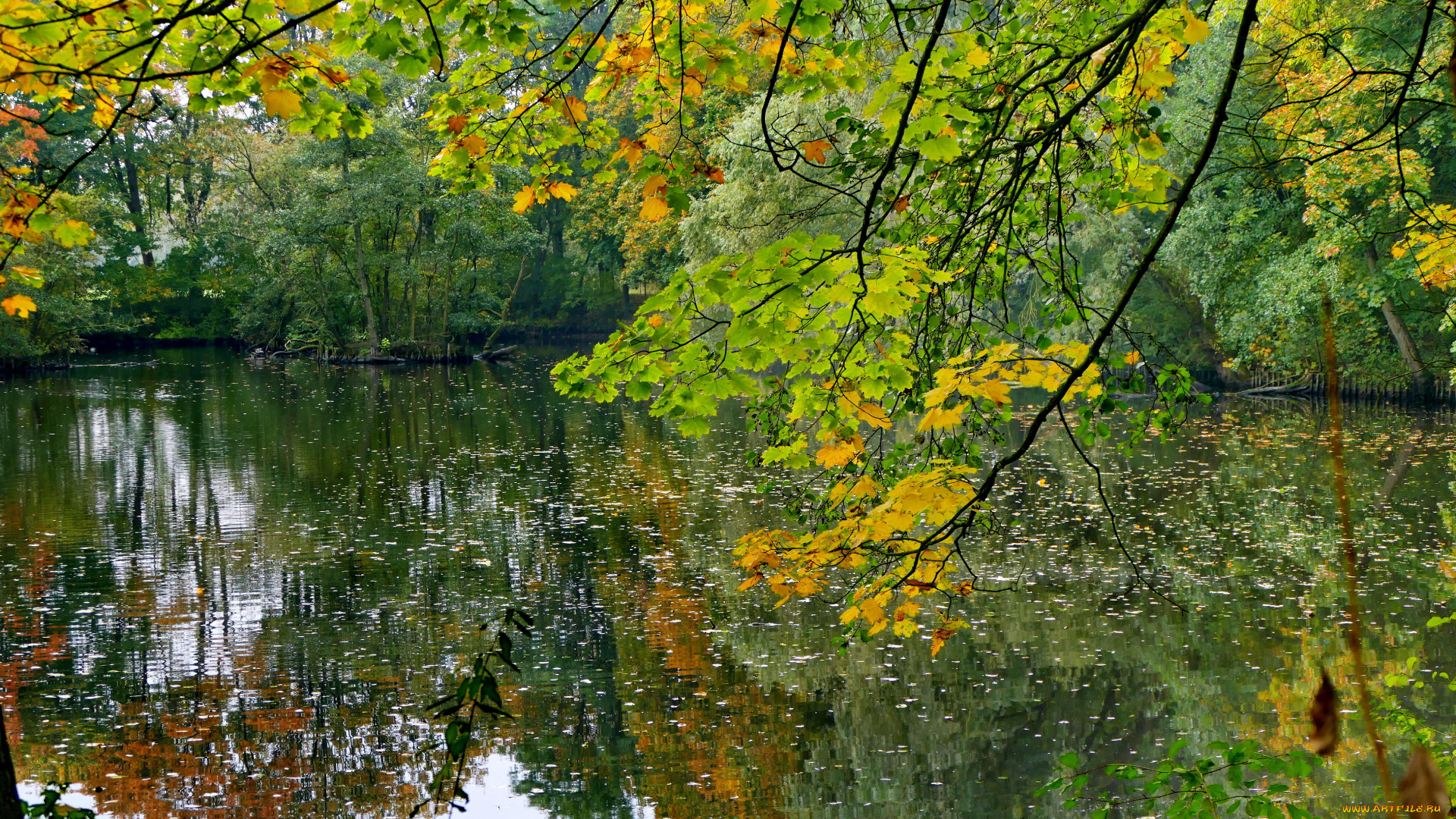 природа, реки, озера, осень, водоём, деревья, лес
