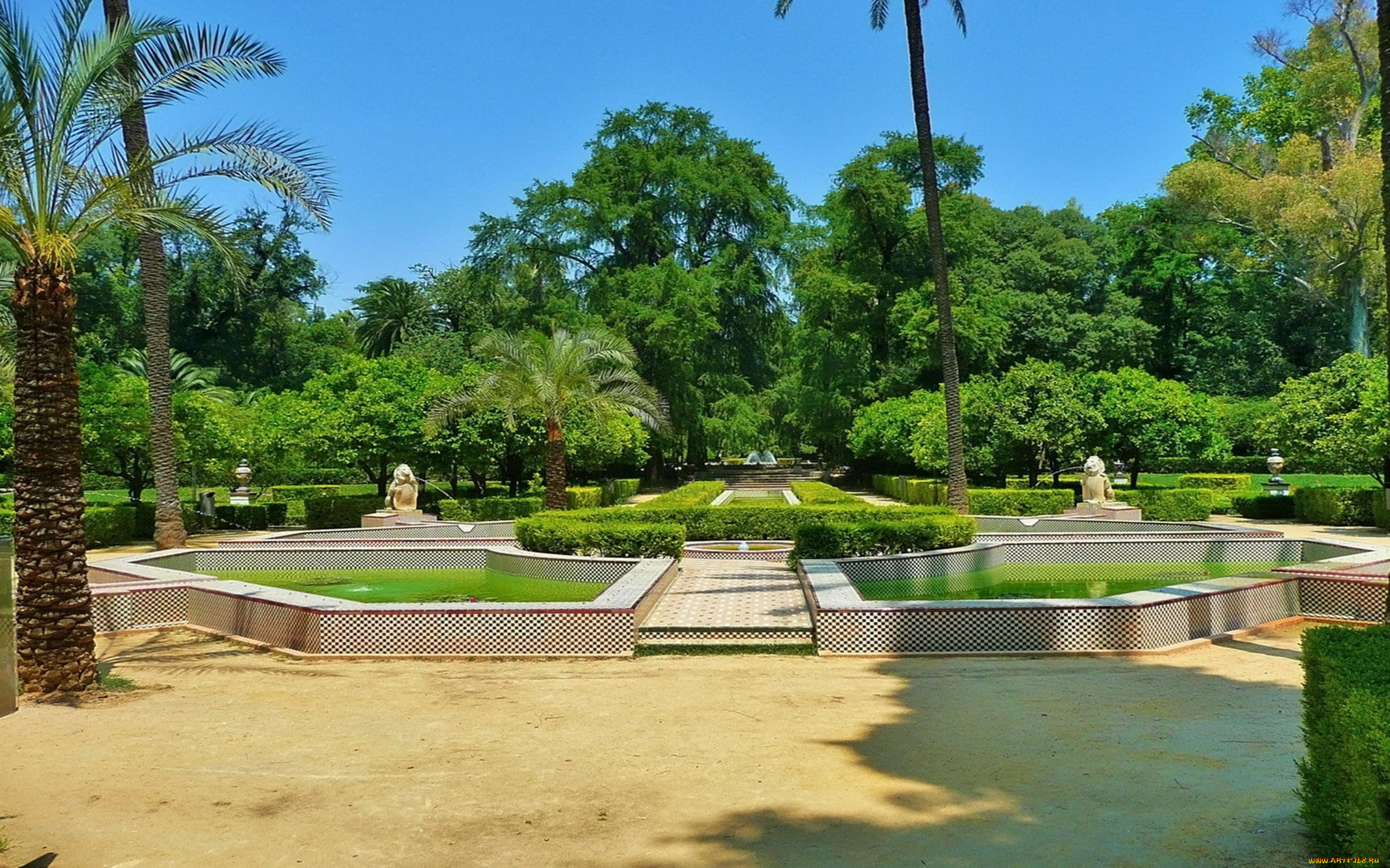 природа, парк, пальмы, аллеи, фонтаны