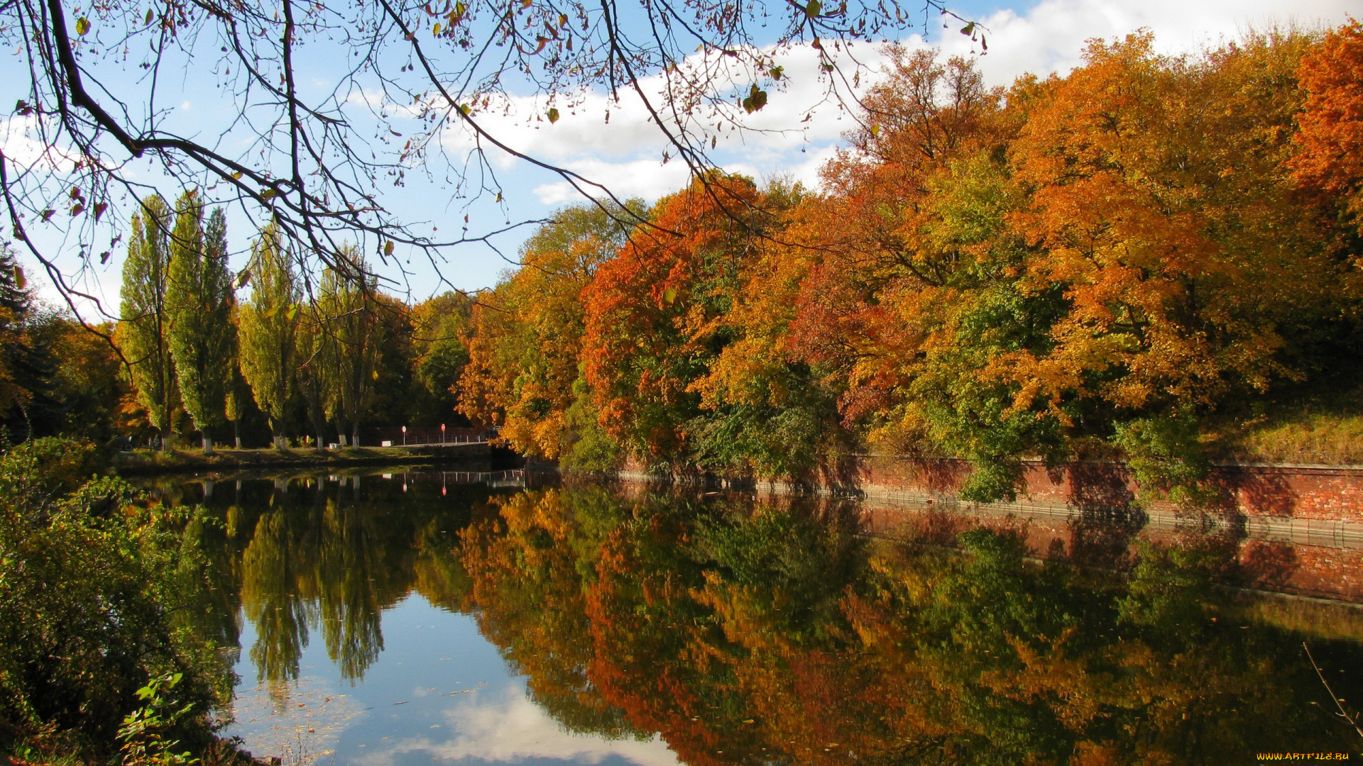 природа, парк, осень