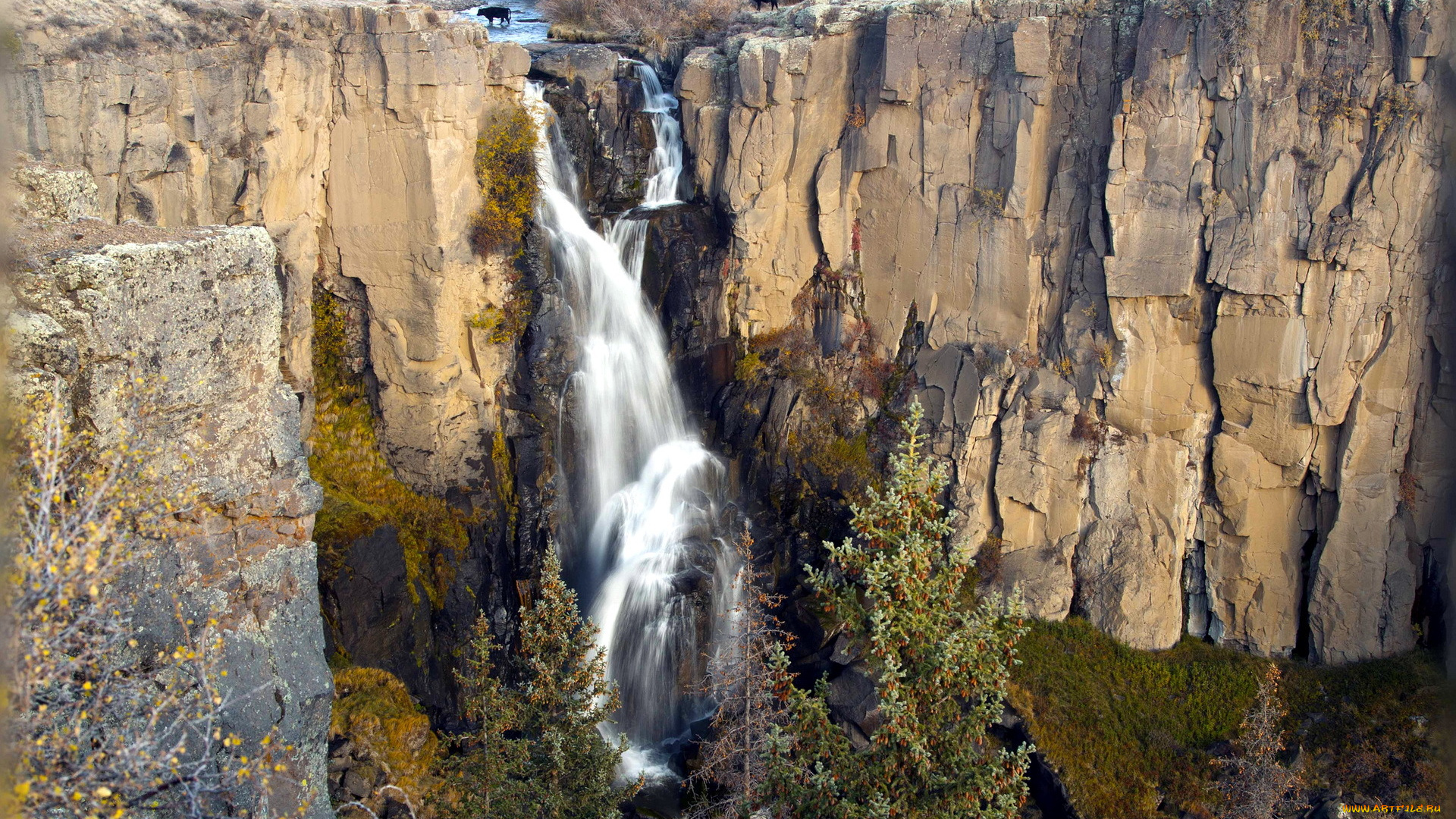 водопад, природа, водопады, colorado, гора, пейзаж, united, states