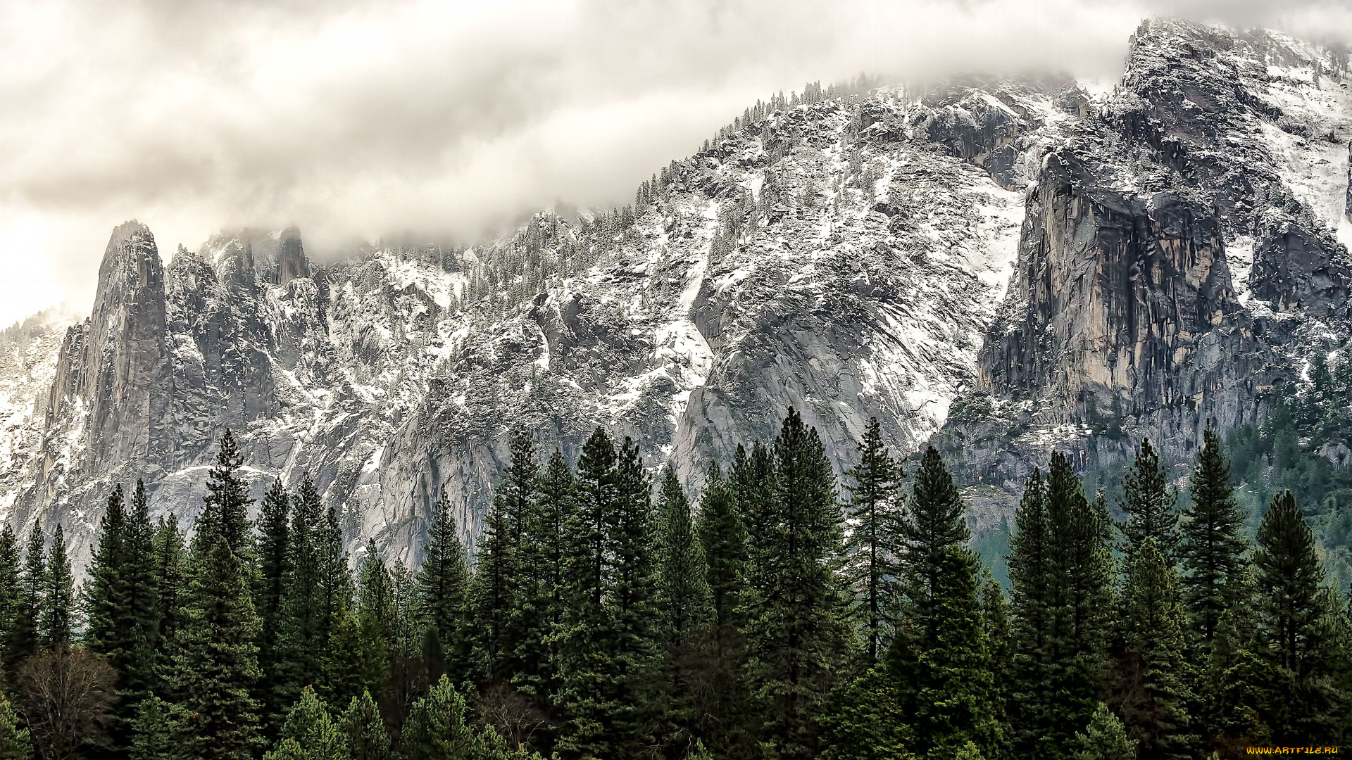 yosemite, national, park, california, природа, горы, калифорния, деревья, йосемити