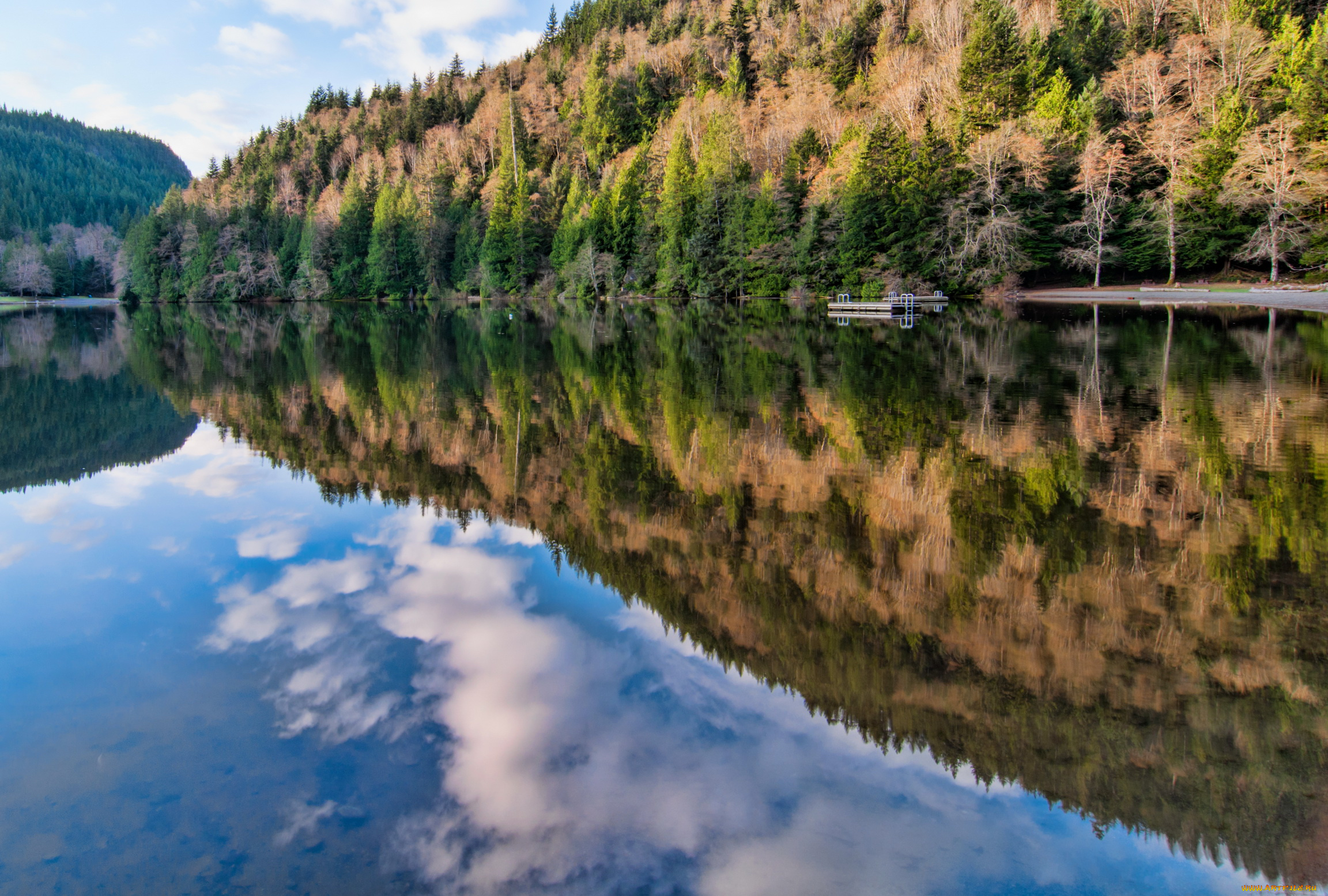 alice, lake, provincial, park, squamish, canada, природа, реки, озера, река, лес