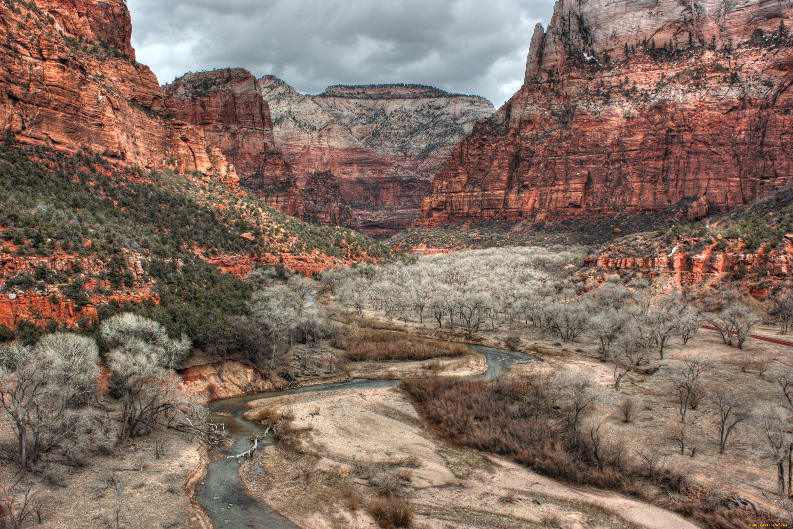 zion, national, park, usa, utah, virgin, river, природа, горы, река