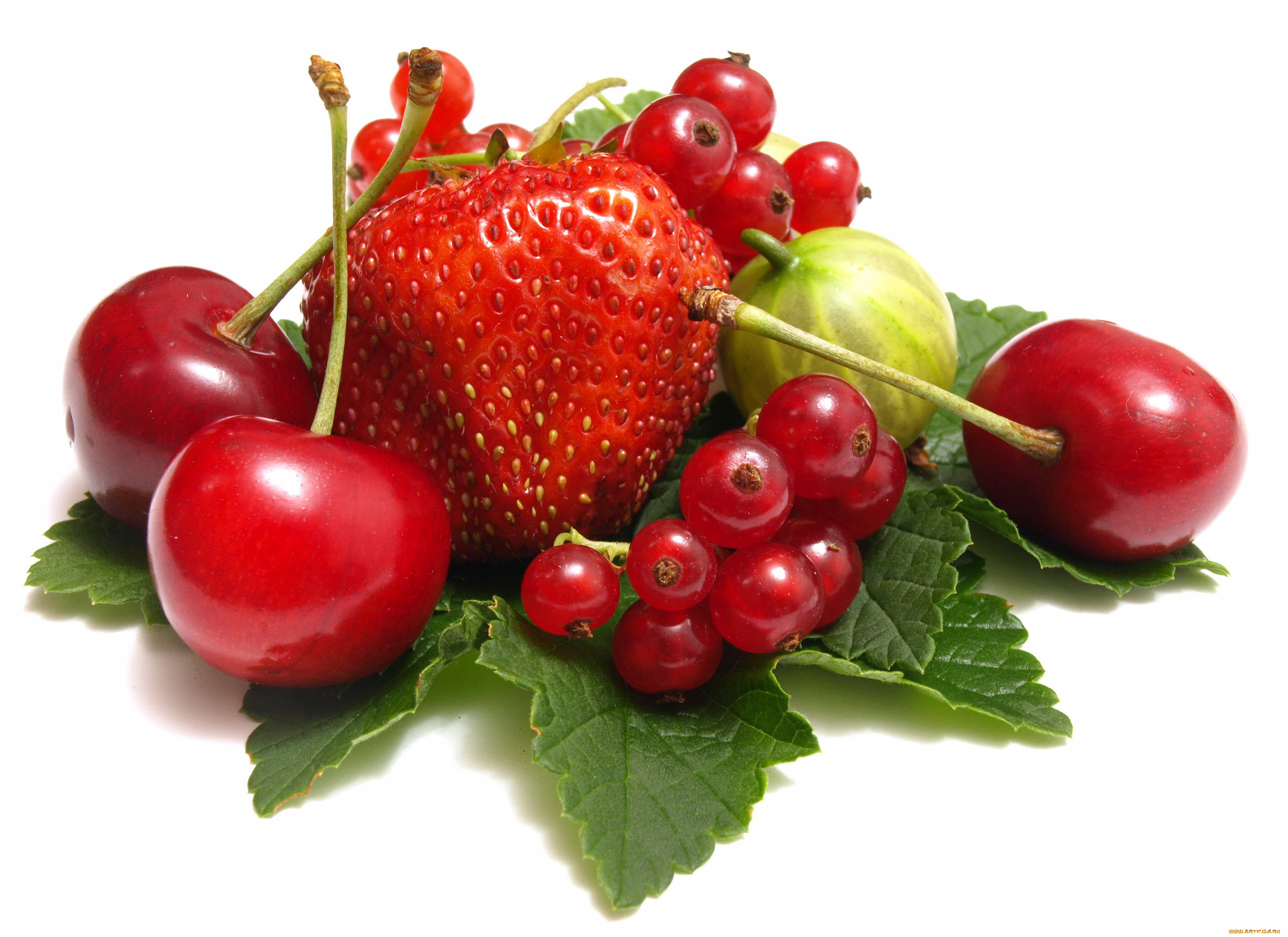 еда, фрукты, ягоды, вишня, смородина