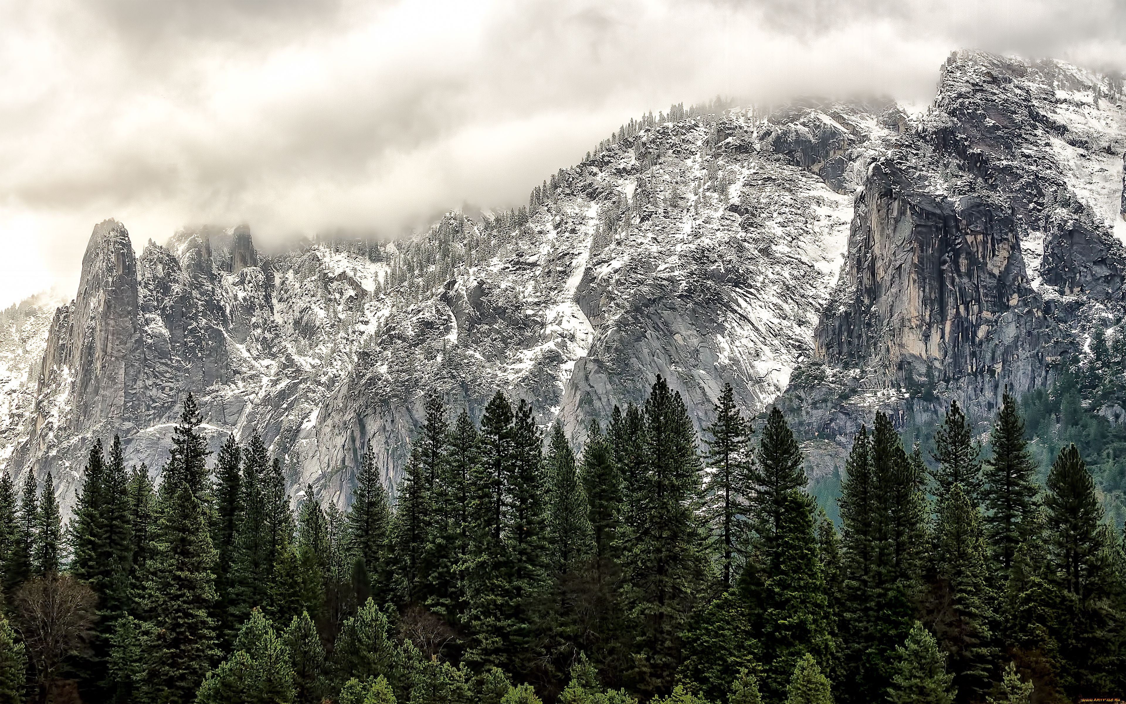 Лес горы слились все. Национальный парк Йосемити Калифорния. Национальный парк Йосемити (штат Калифорния). Национальный парк Йосемити, США зима. Йосемити хвойный лес.