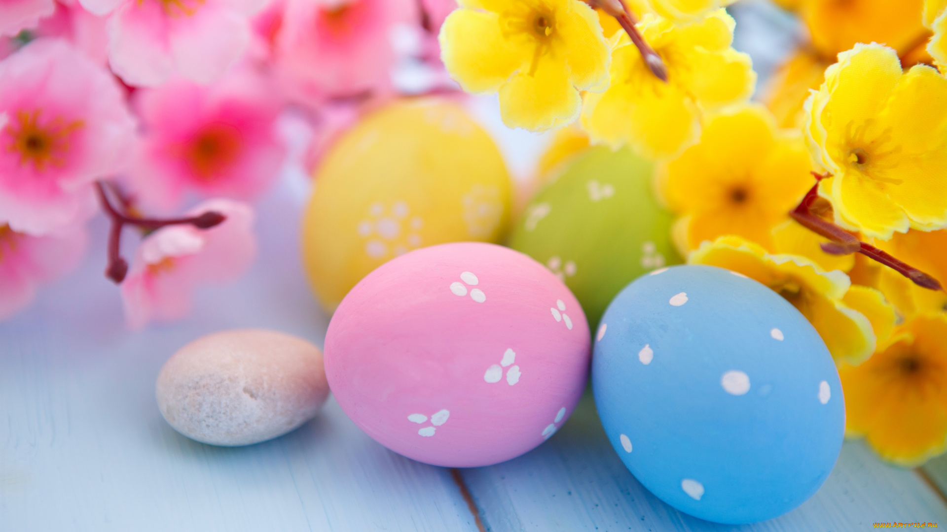 праздничные, пасха, easter, eggs, flowers, spring, яйца, цветы