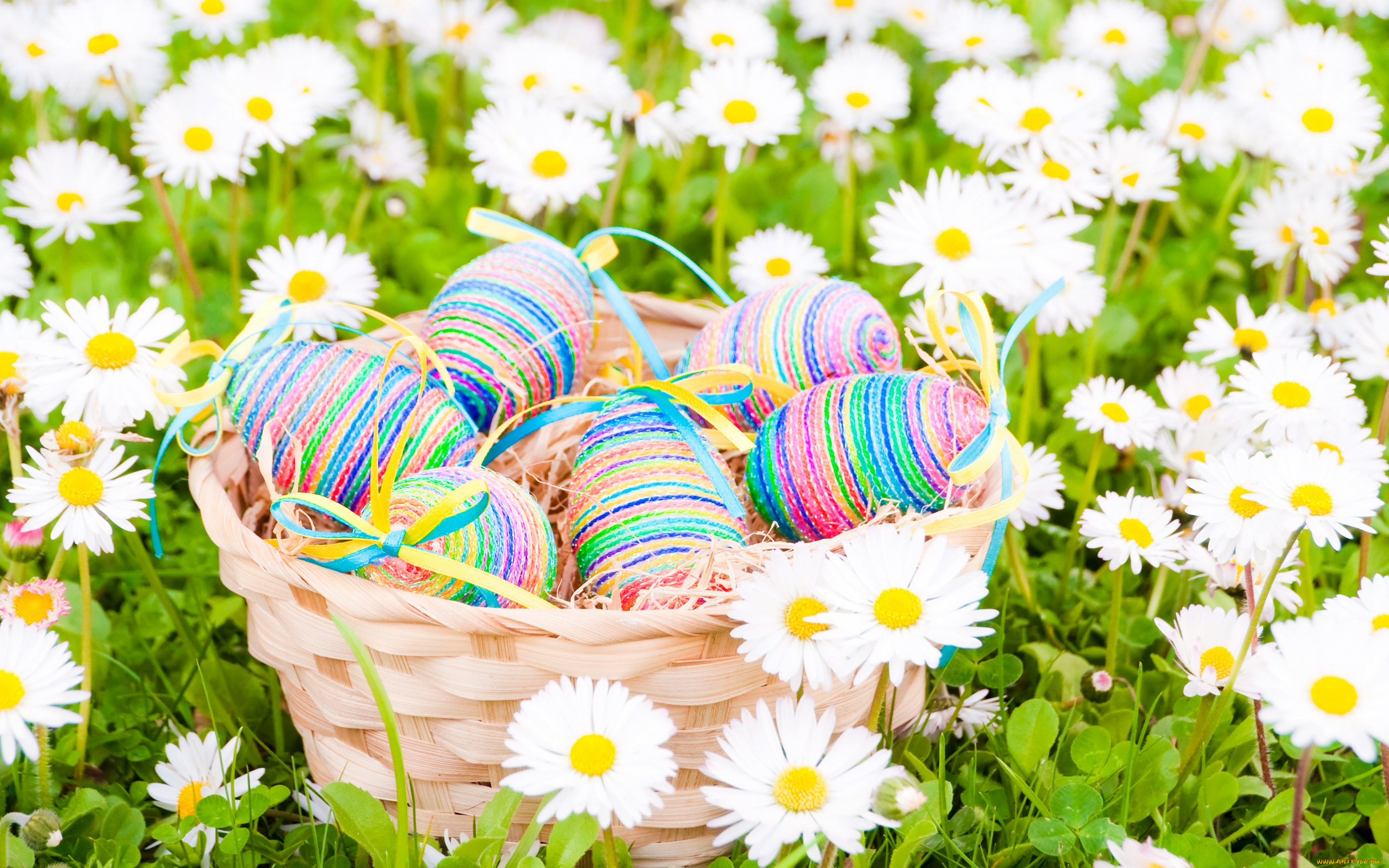 праздничные, пасха, easter, eggs, flowers, spring, яйца, цветы, ромашки, поле