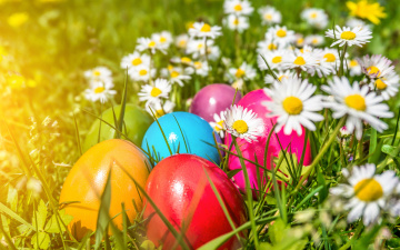 Картинка праздничные пасха easter eggs flowers spring яйца цветы ромашки