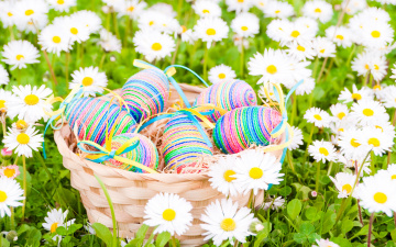 Картинка праздничные пасха easter eggs flowers spring яйца цветы ромашки поле