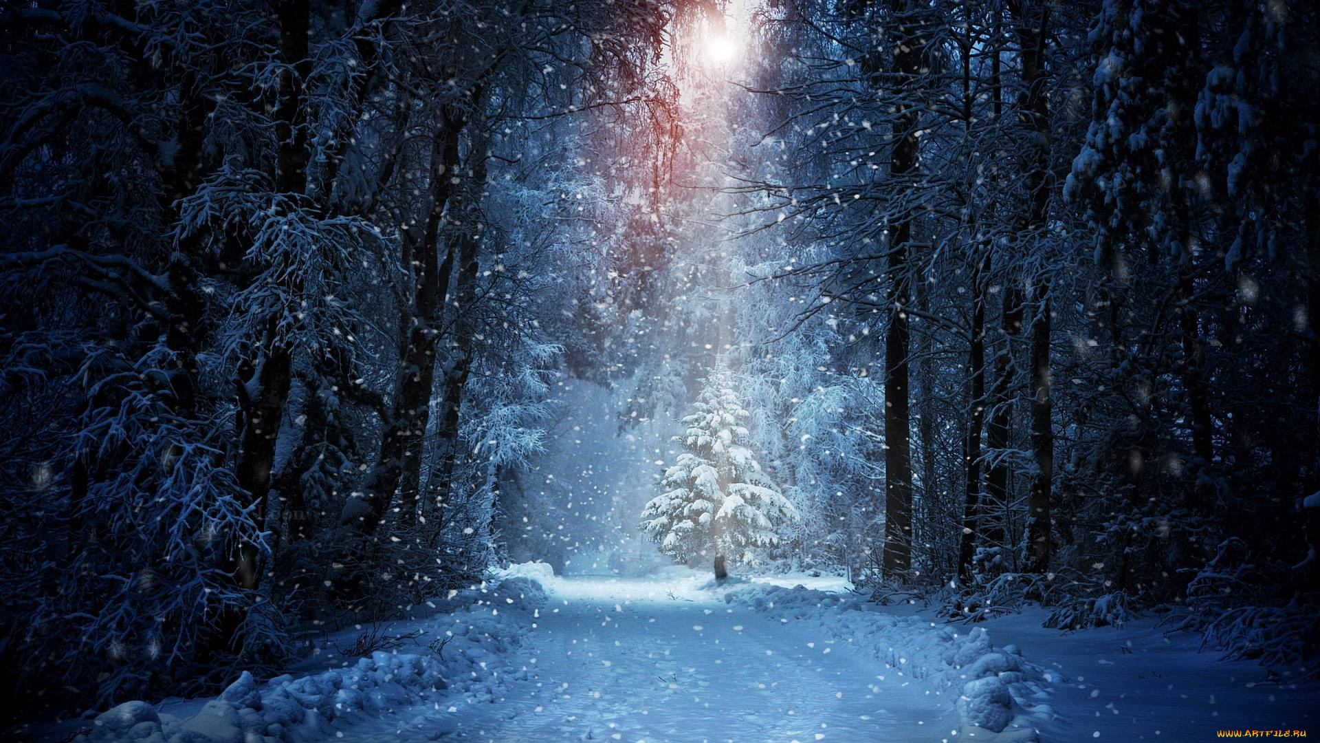 природа, зима, дорога, снег, лес
