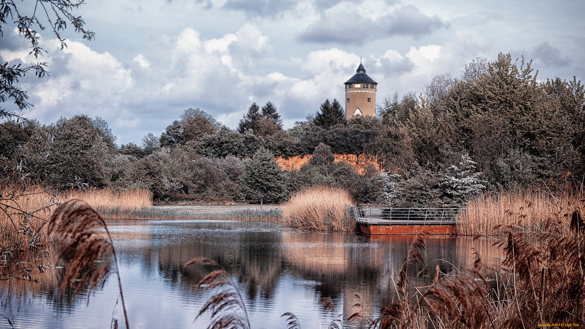 ziegeleipark, heilbronn, города, -, пейзажи, камыш, река