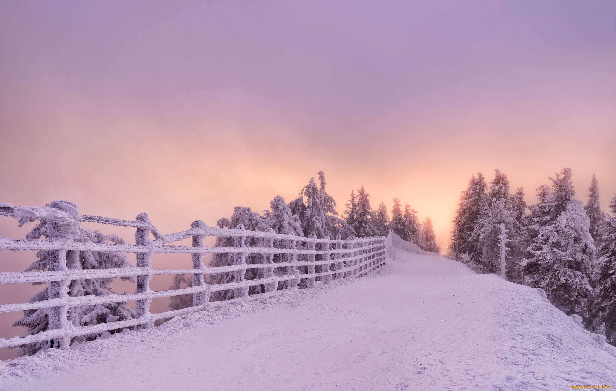 природа, зима, забор, дорога, снег