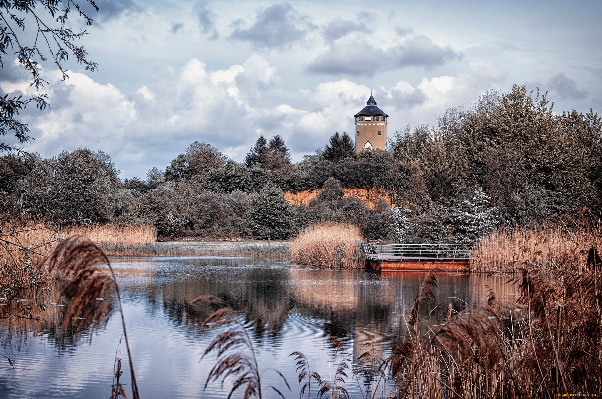 ziegeleipark, heilbronn, города, -, пейзажи, камыш, река