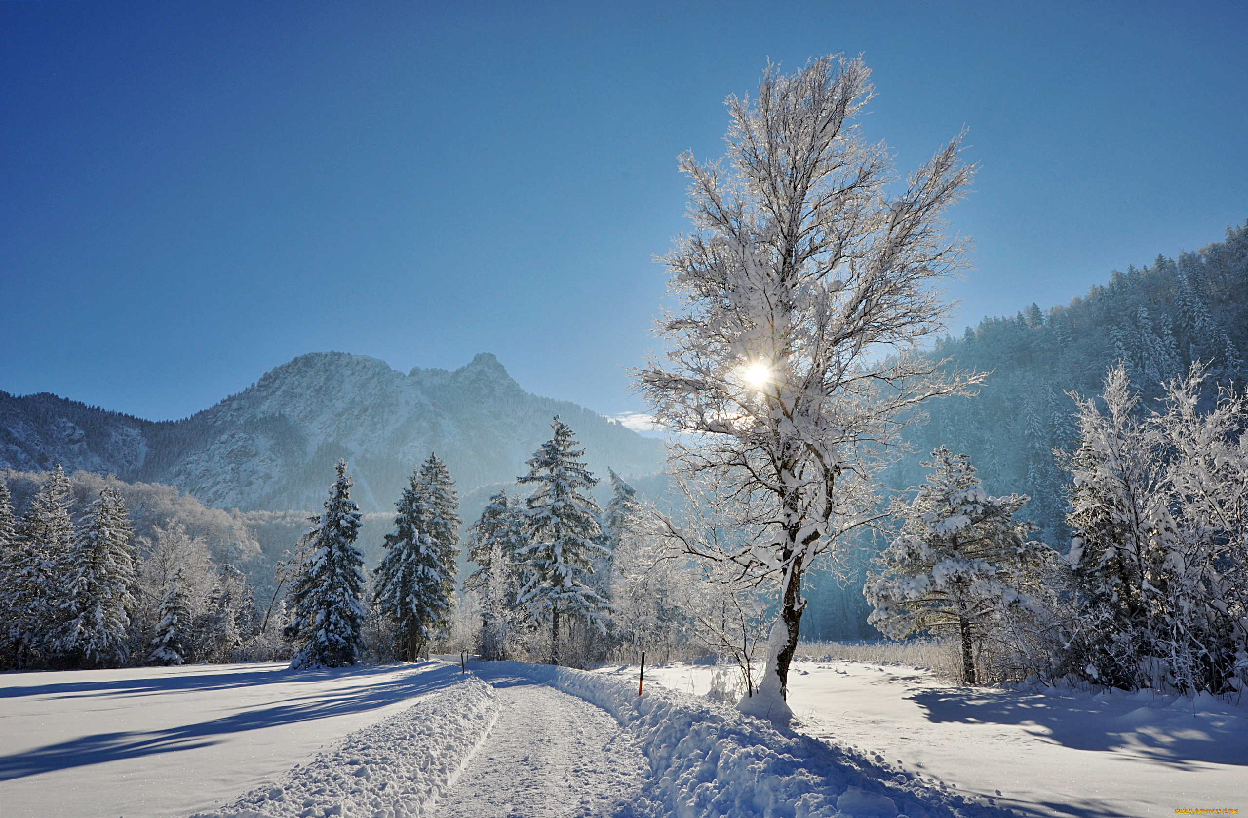 природа, зима, дорога, деревья, снег