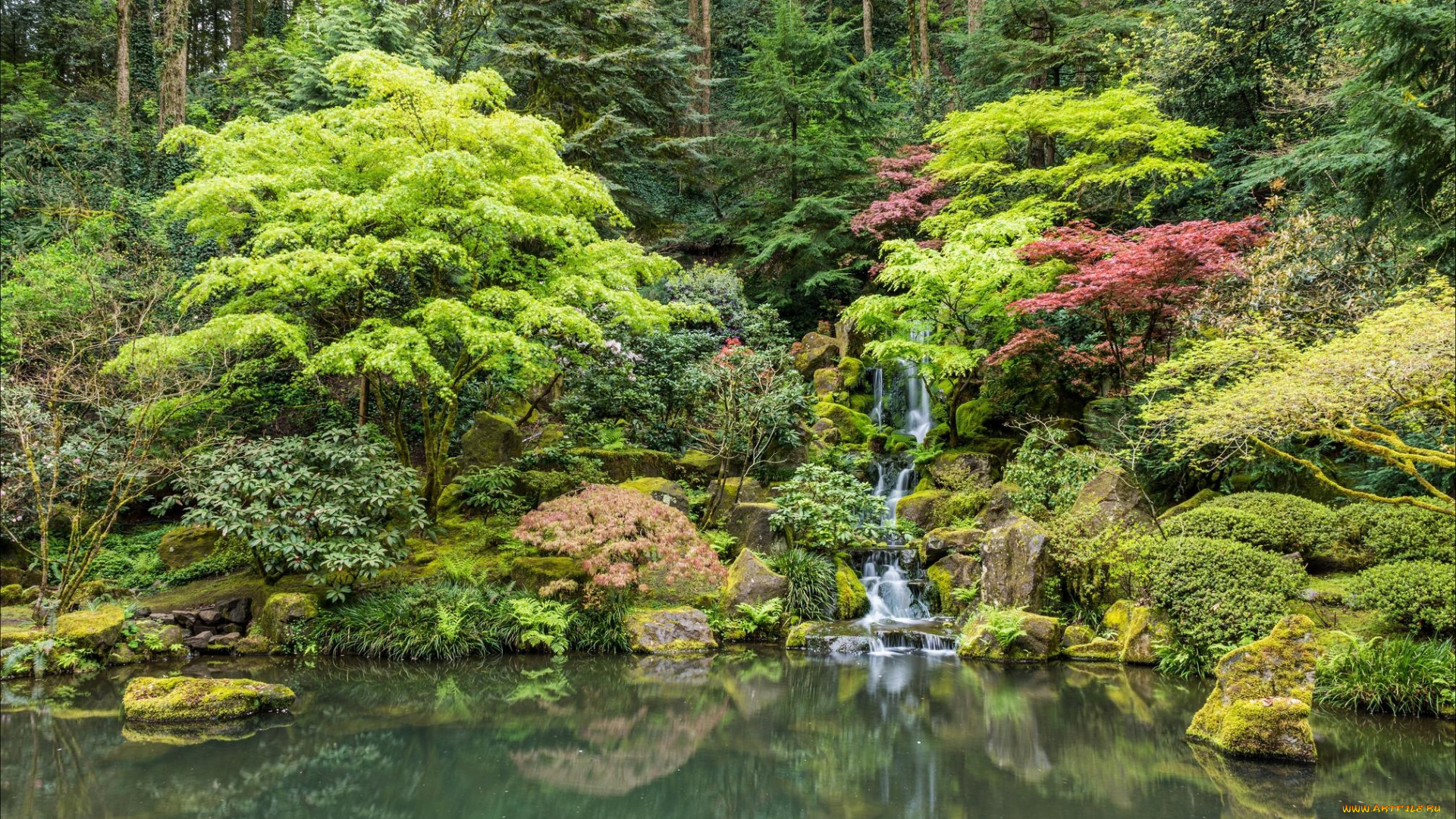 природа, парк, Японский, сад, в, портленде, сша, пейзаж, водопад