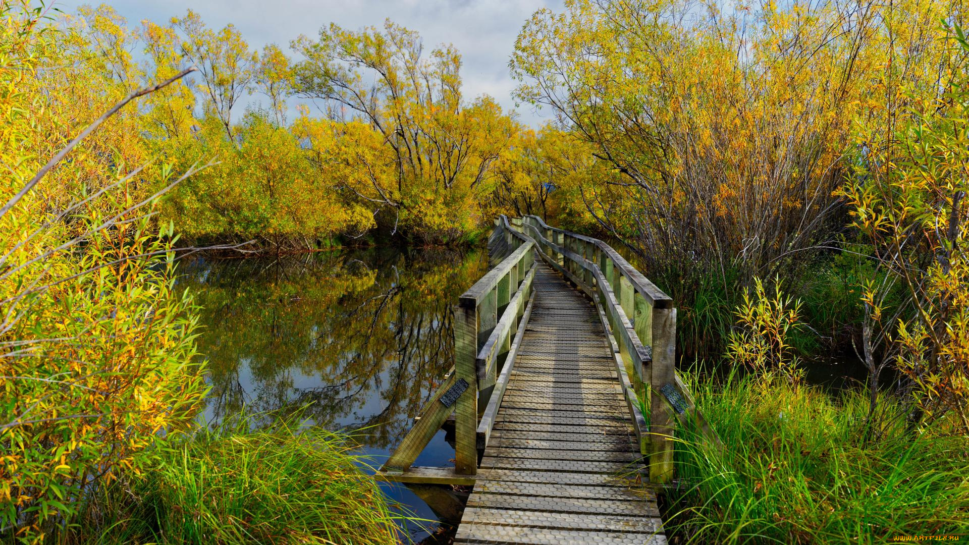природа, реки, озера, деревья, водоём, осень, пейзаж, мост