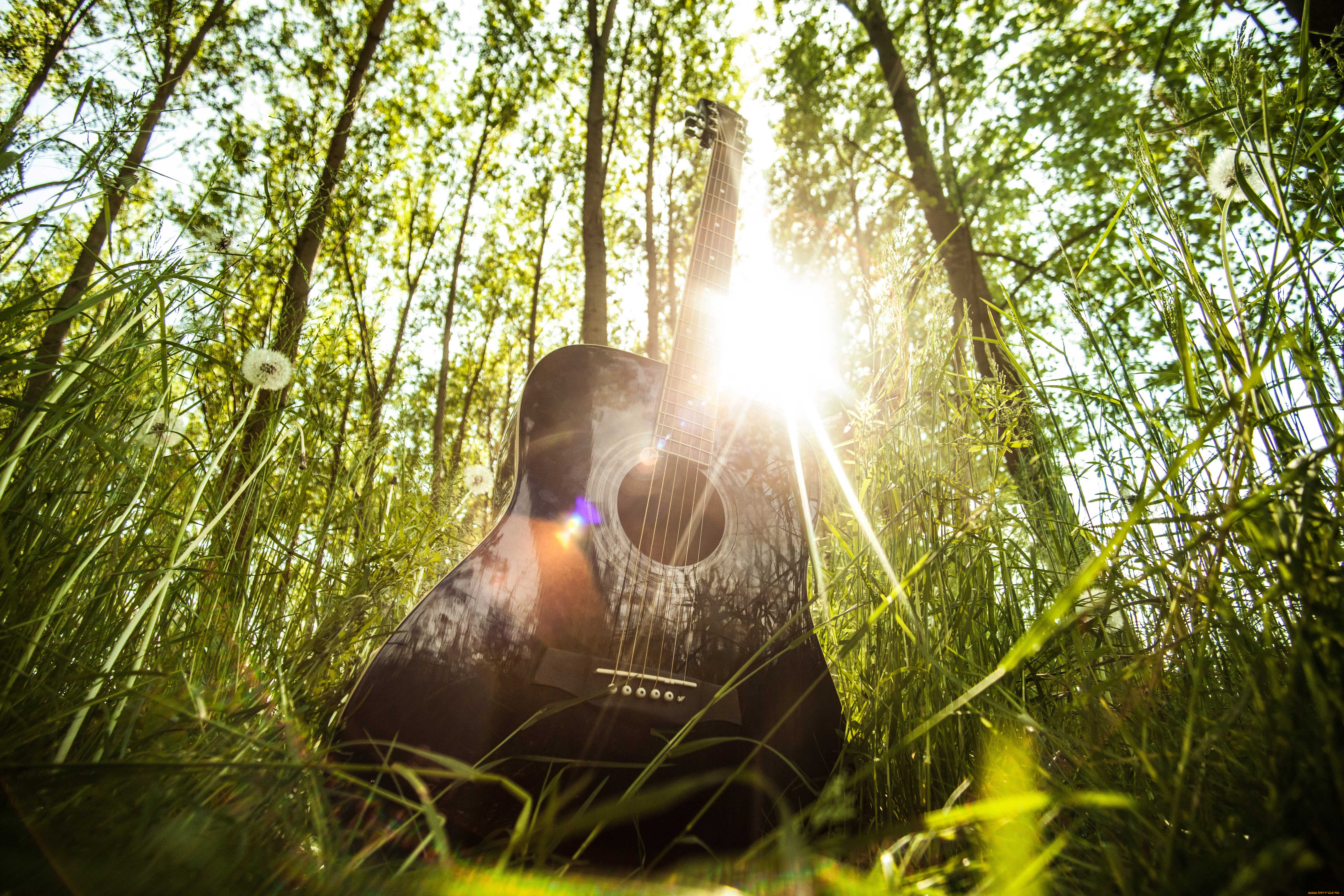 Исполнение песни лето. Гитара на природе. Гитара в лесу. Музыкальные инструменты на природе. Акустическая гитара в природе.