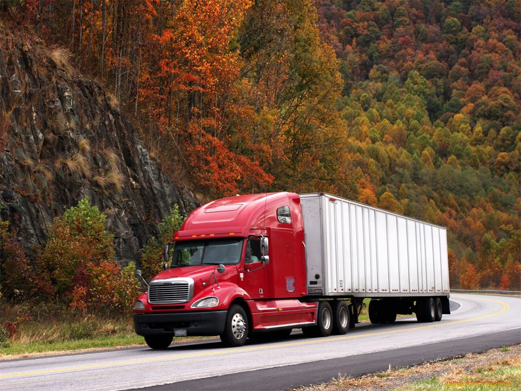 автомобили, freightliner