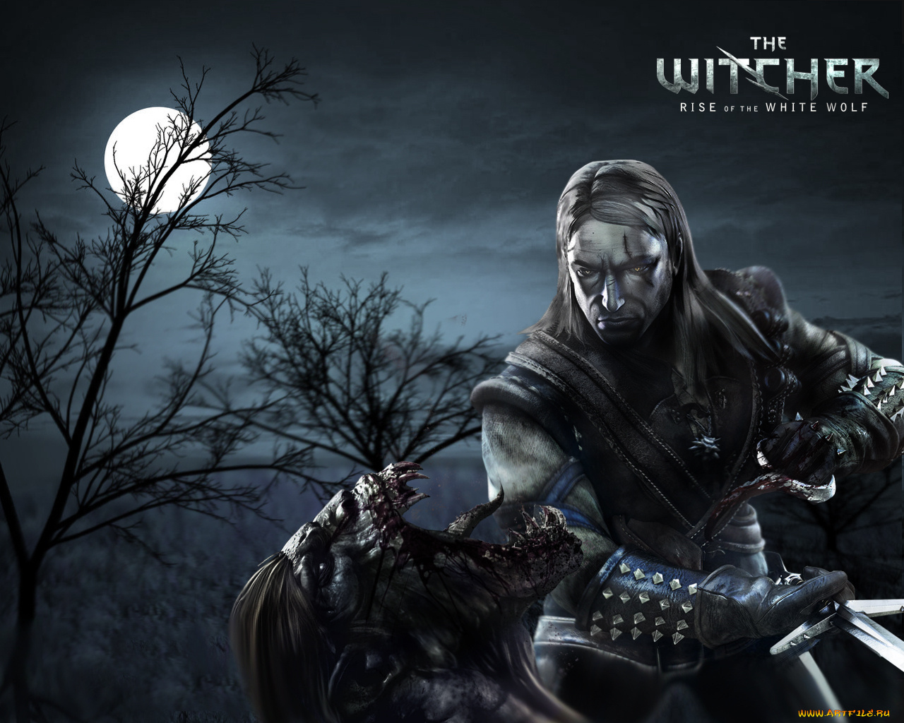 the, witcher, rise, of, white, wolf, видео, игры