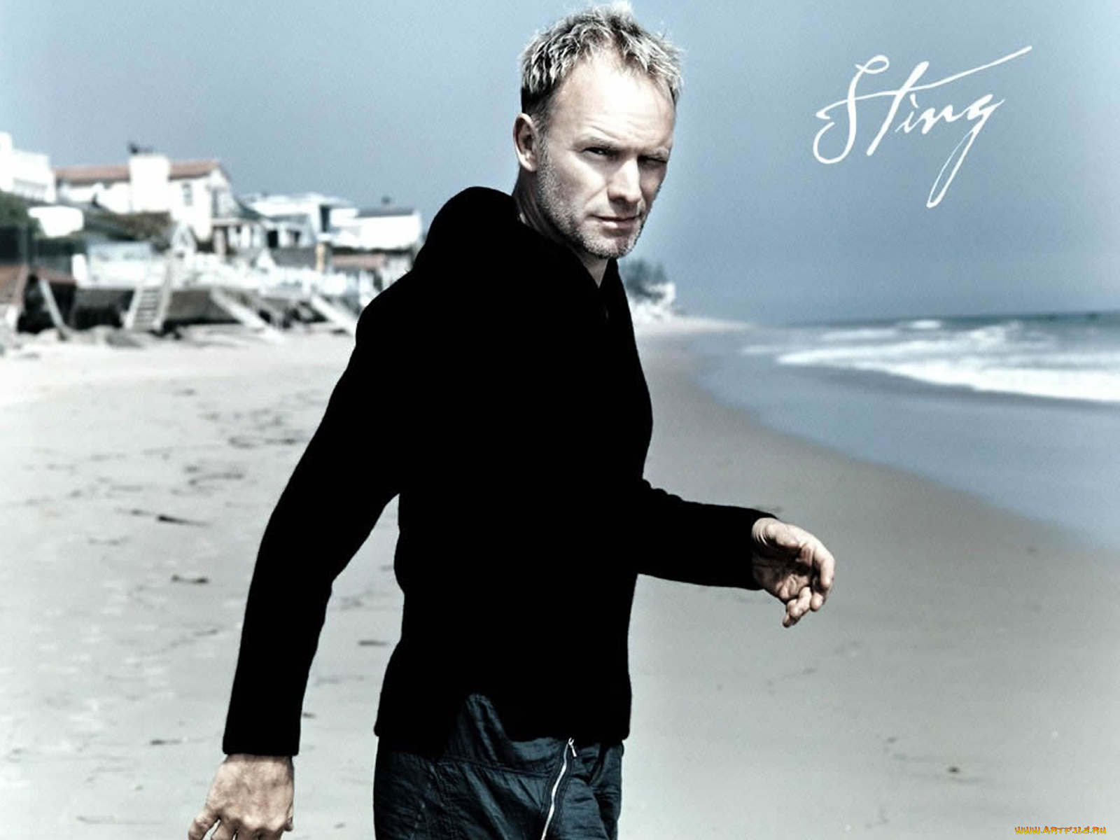 музыка, sting