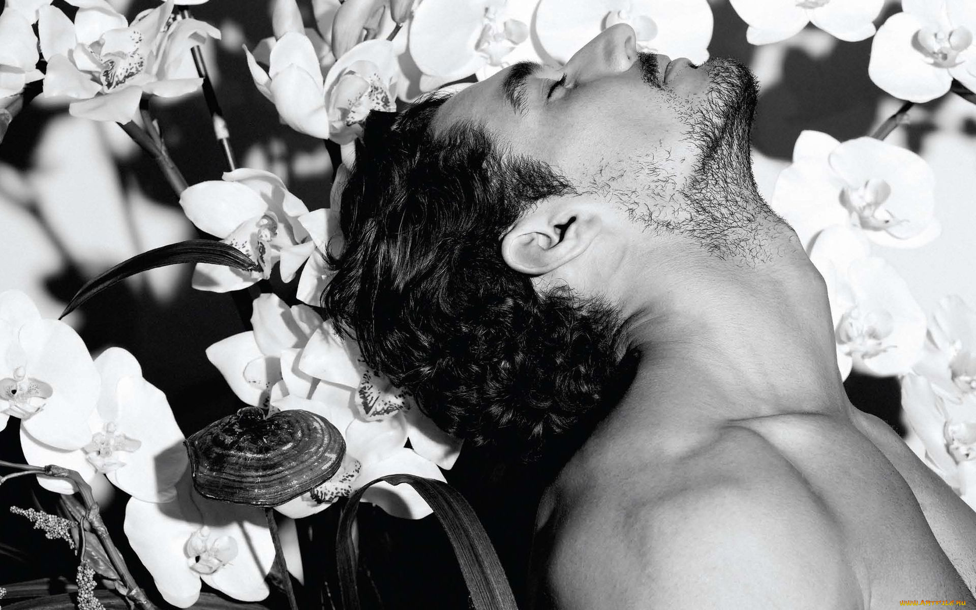 david, gandy, мужчины