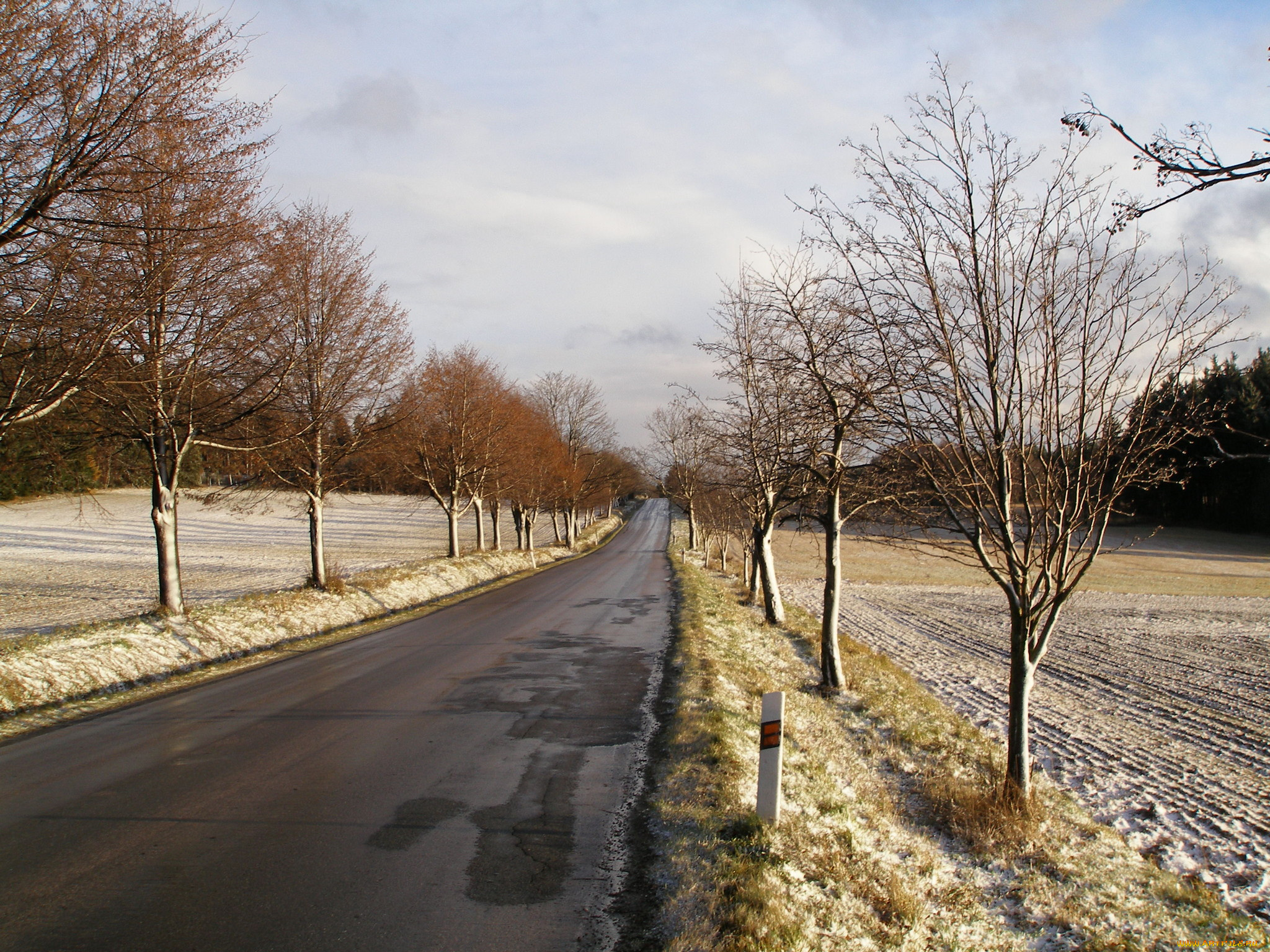 природа, дороги, дорога, деревья, снег