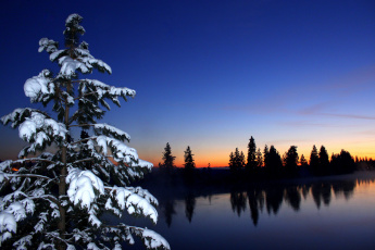 Картинка природа деревья река закат ель снег