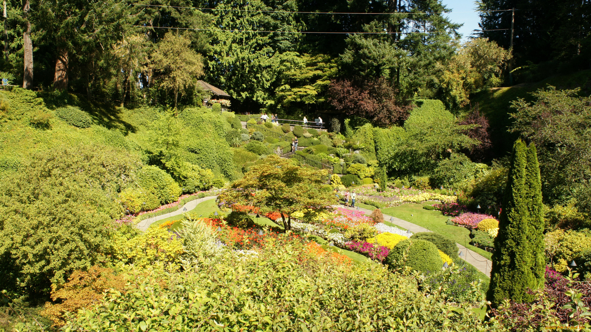 butchart, gardens, victoria, канада, природа, парк, сад, растения