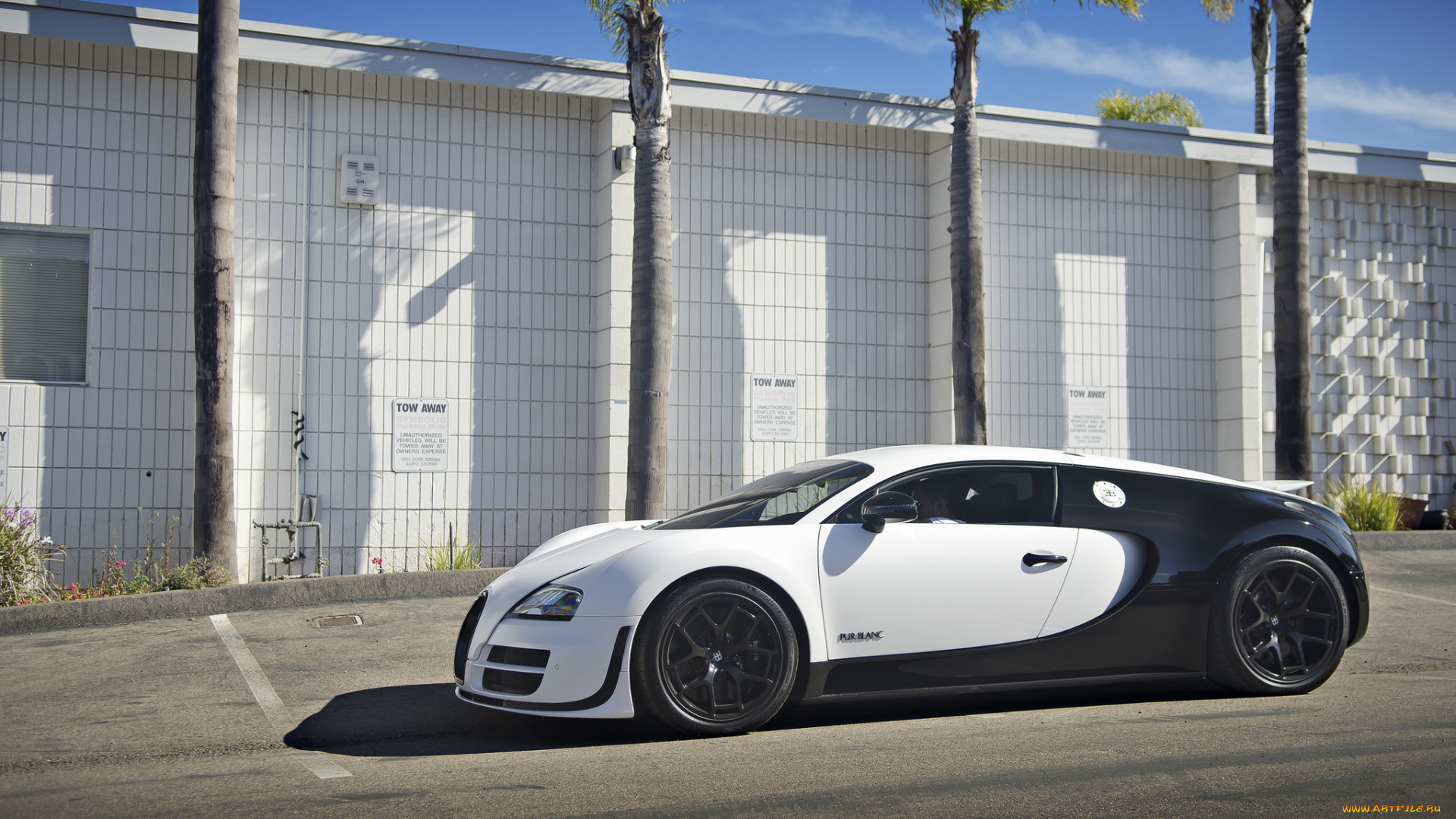 bugatti, veyron, pur, blanc, автомобили, bugatti, a, s, automobiles, франция, класс-люкс, спортивные