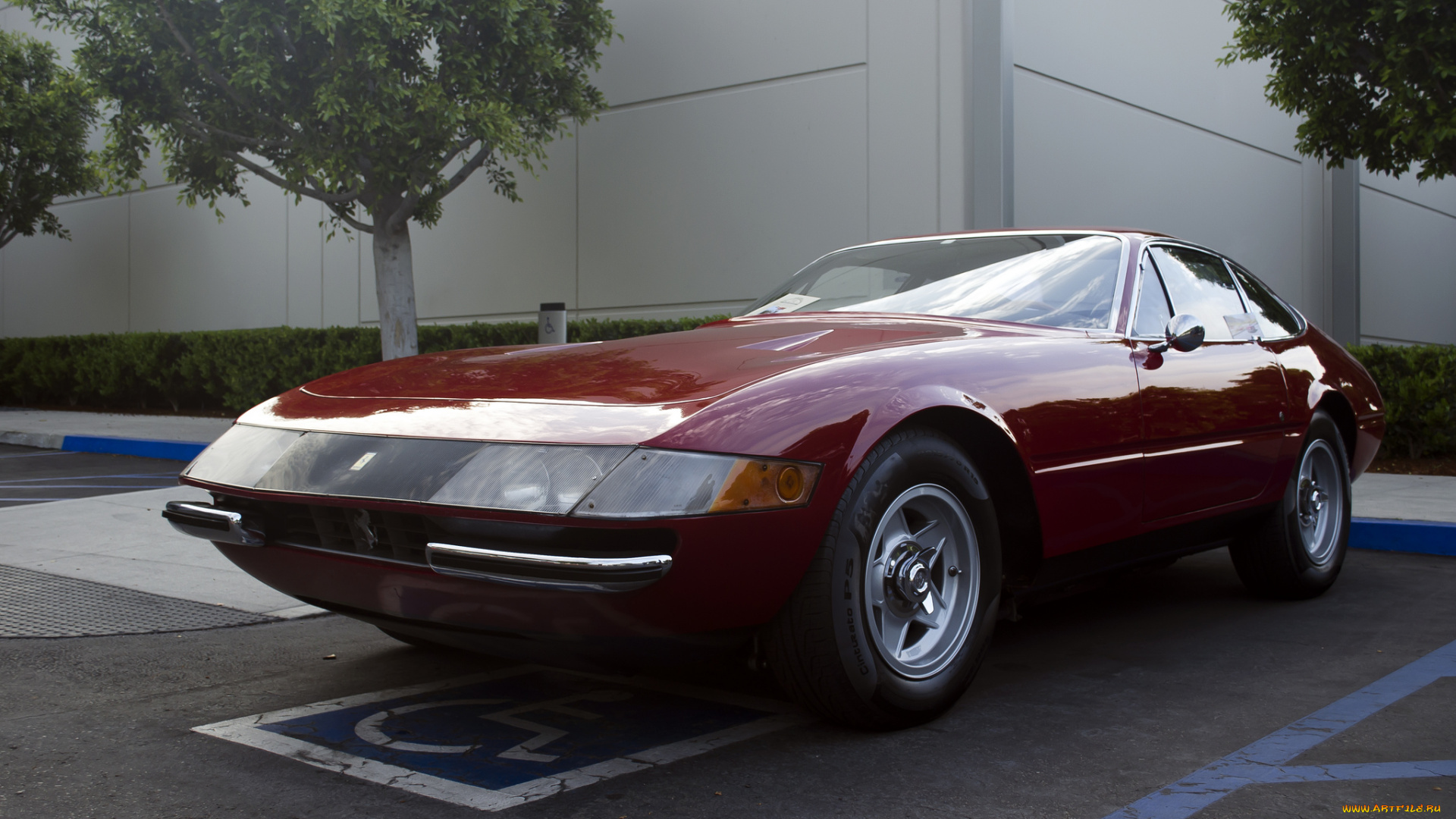 ferrari, 365, daytona, gtb4, автомобили, выставки, и, уличные, фото, гоночные, спортивные, s, италия, ferrari, a, p