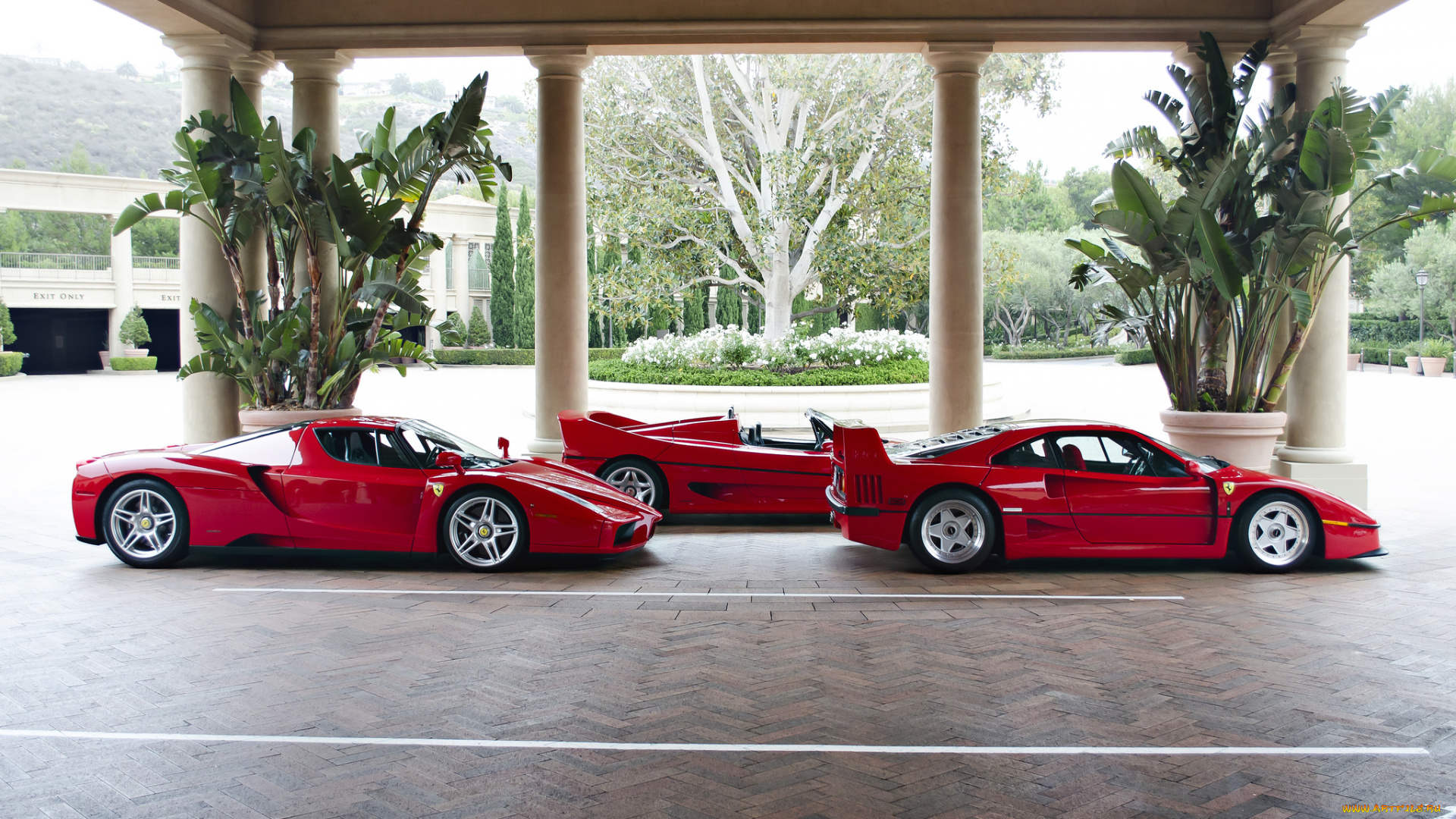 ferrari, supercars, -, f40, , f50, , and, enzo, автомобили, ferrari, италия, спортивные, гоночные, s, p, a