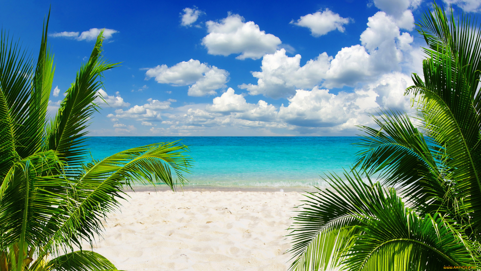 природа, тропики, blue, море, песок, ocean, emerald, beach, sunshine, пляж, coast, paradise, vacation, sky, sea, summer, пальмы, tropical, palm, солнце, океан, небо, берег, sand