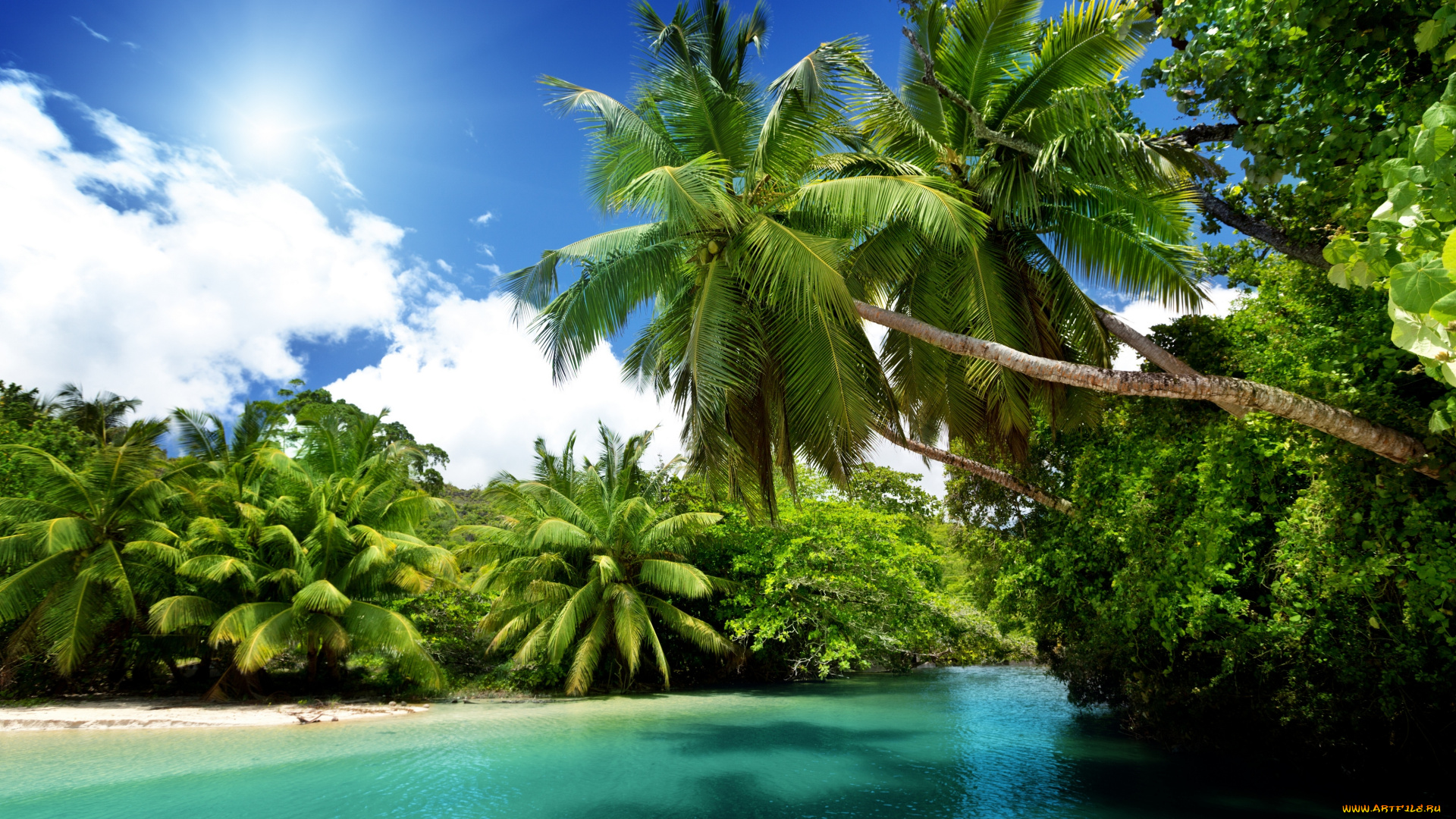 природа, тропики, солнце, море, sea, blue, emerald, ocean, palms, summer, vacation, пальмы, океан, beach, paradise, tropical