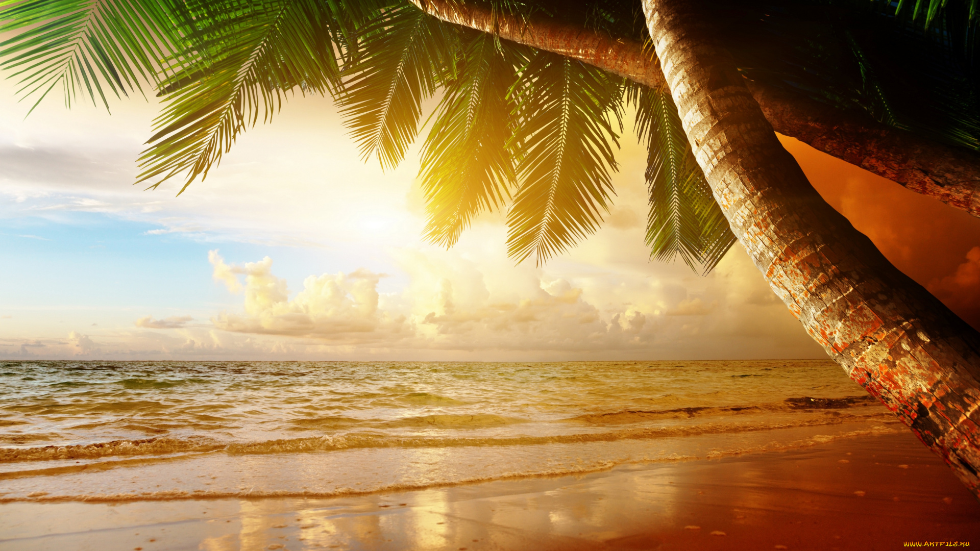 природа, тропики, sunset, sea, ocean, закат, palm, summer, sand, пляж, песок, море, берег, пальмы, coast, paradise, beach, tropical