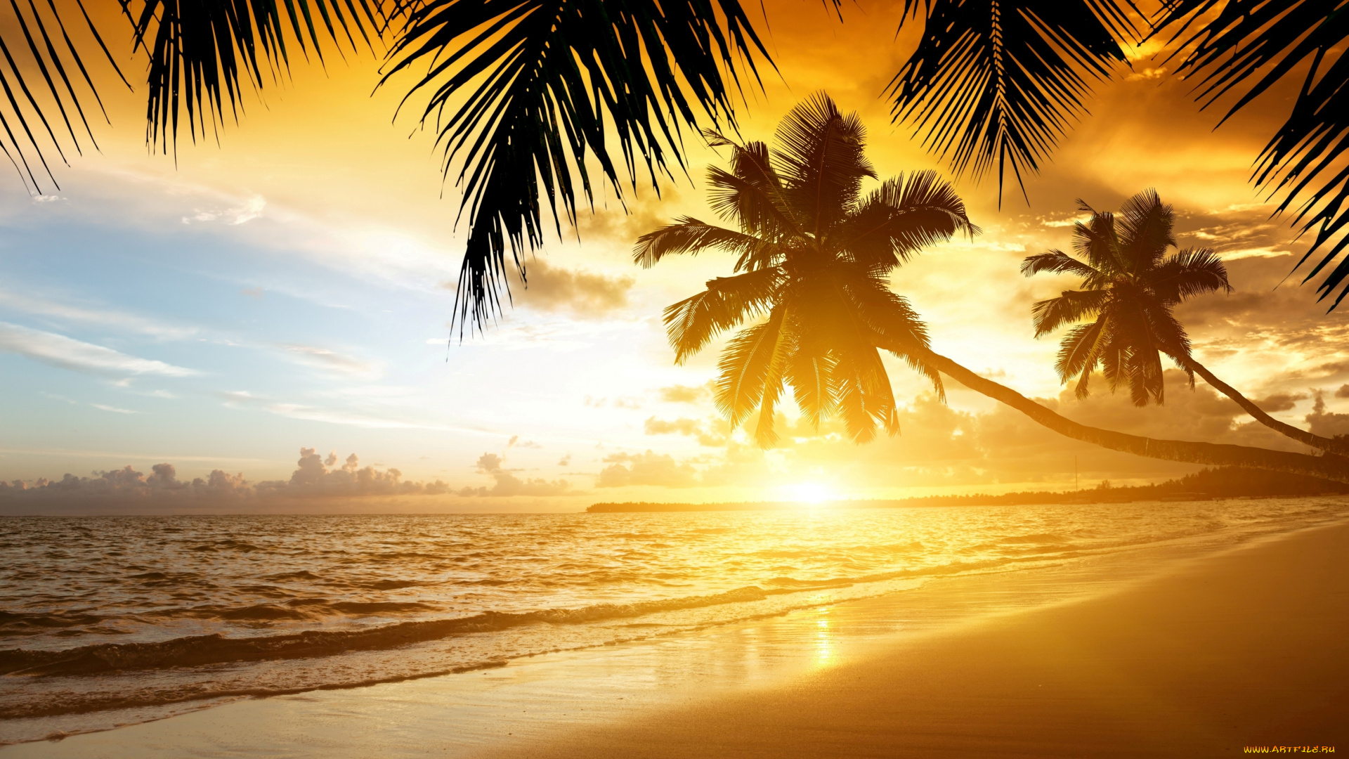 природа, тропики, закат, пальмы, берег, море, песок, пляж, sand, summer, palm, ocean, sea, coast, beach, paradise, sunset, tropical