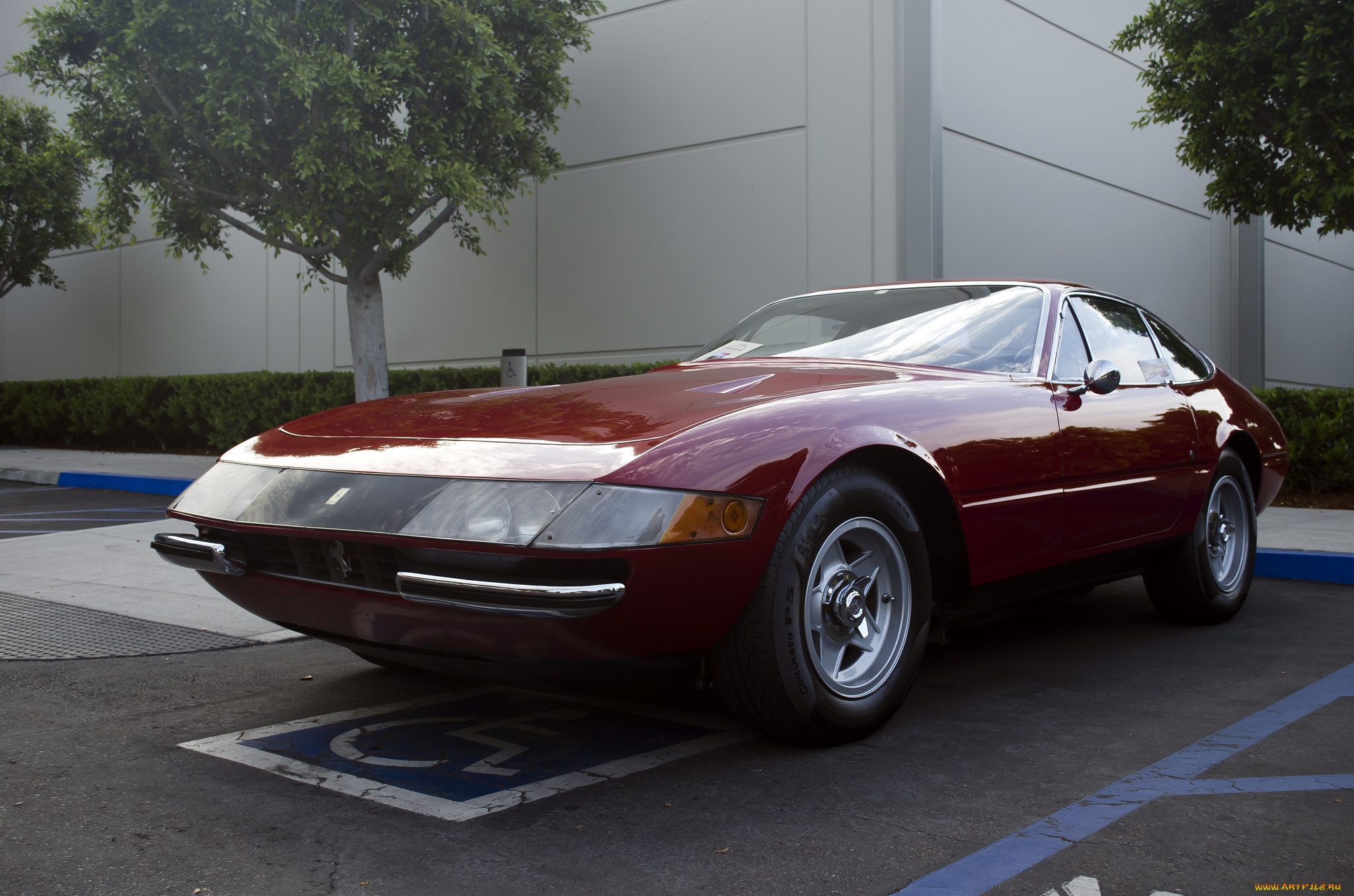 ferrari, 365, daytona, gtb4, автомобили, выставки, и, уличные, фото, гоночные, спортивные, s, италия, ferrari, a, p