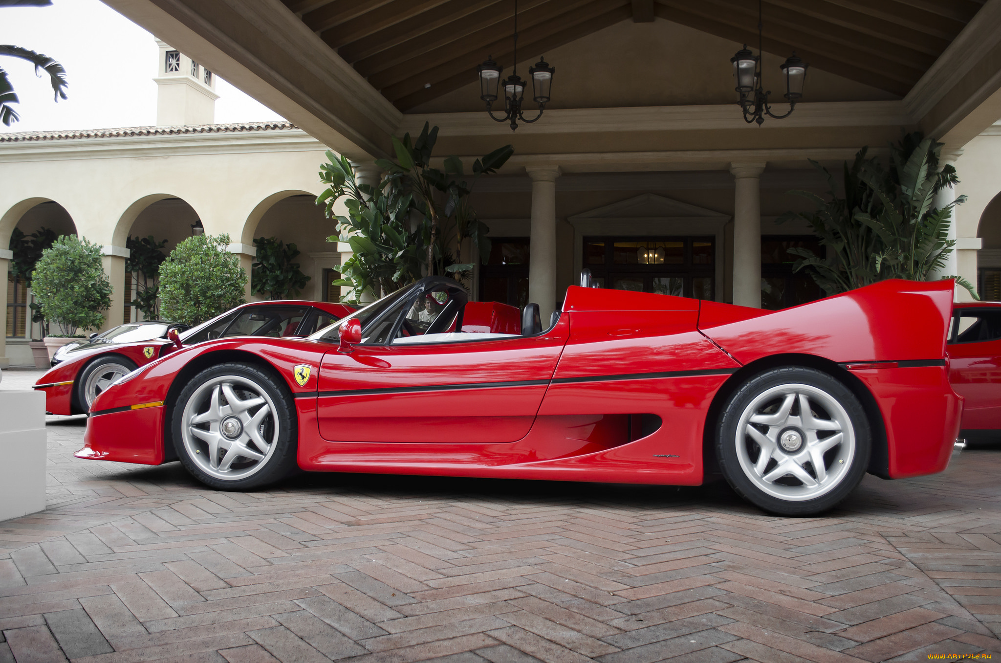 ferrari, f50, автомобили, ferrari, италия, спортивные, гоночные, s, p, a