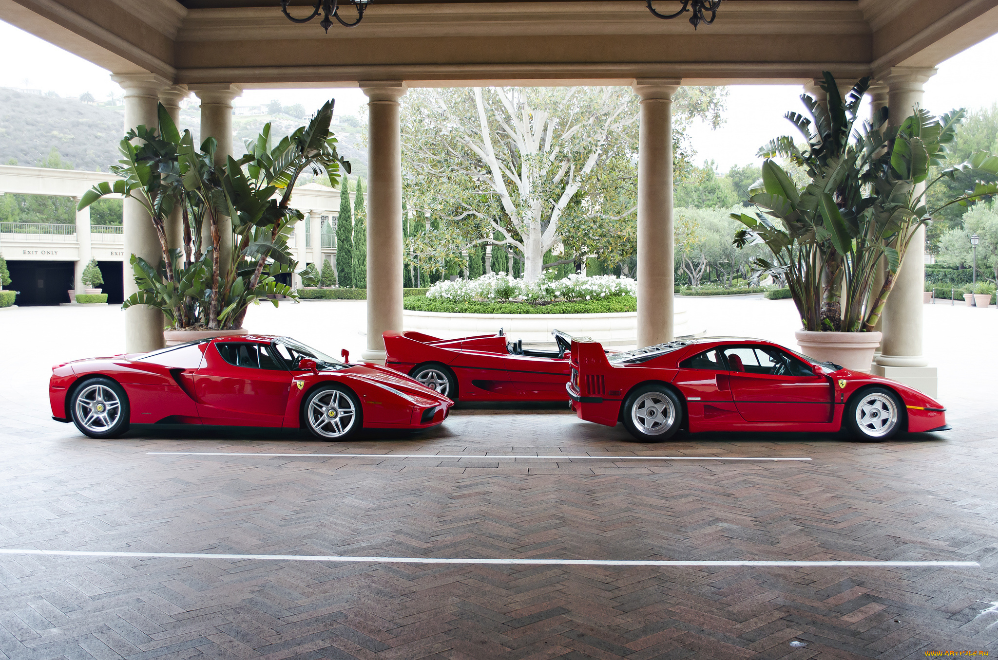 ferrari, supercars, -, f40, , f50, , and, enzo, автомобили, ferrari, италия, спортивные, гоночные, s, p, a