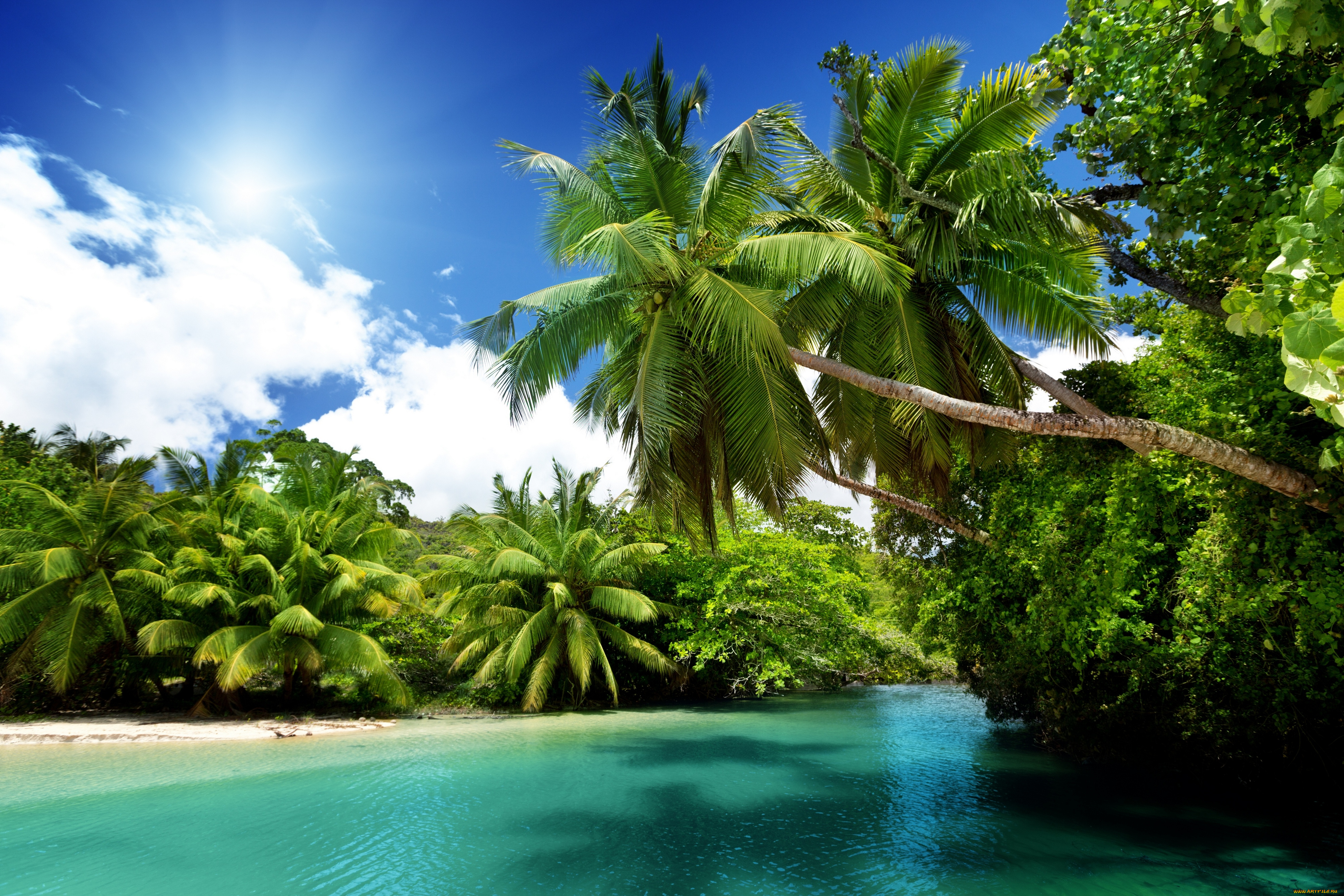 природа, тропики, солнце, море, sea, blue, emerald, ocean, palms, summer, vacation, пальмы, океан, beach, paradise, tropical