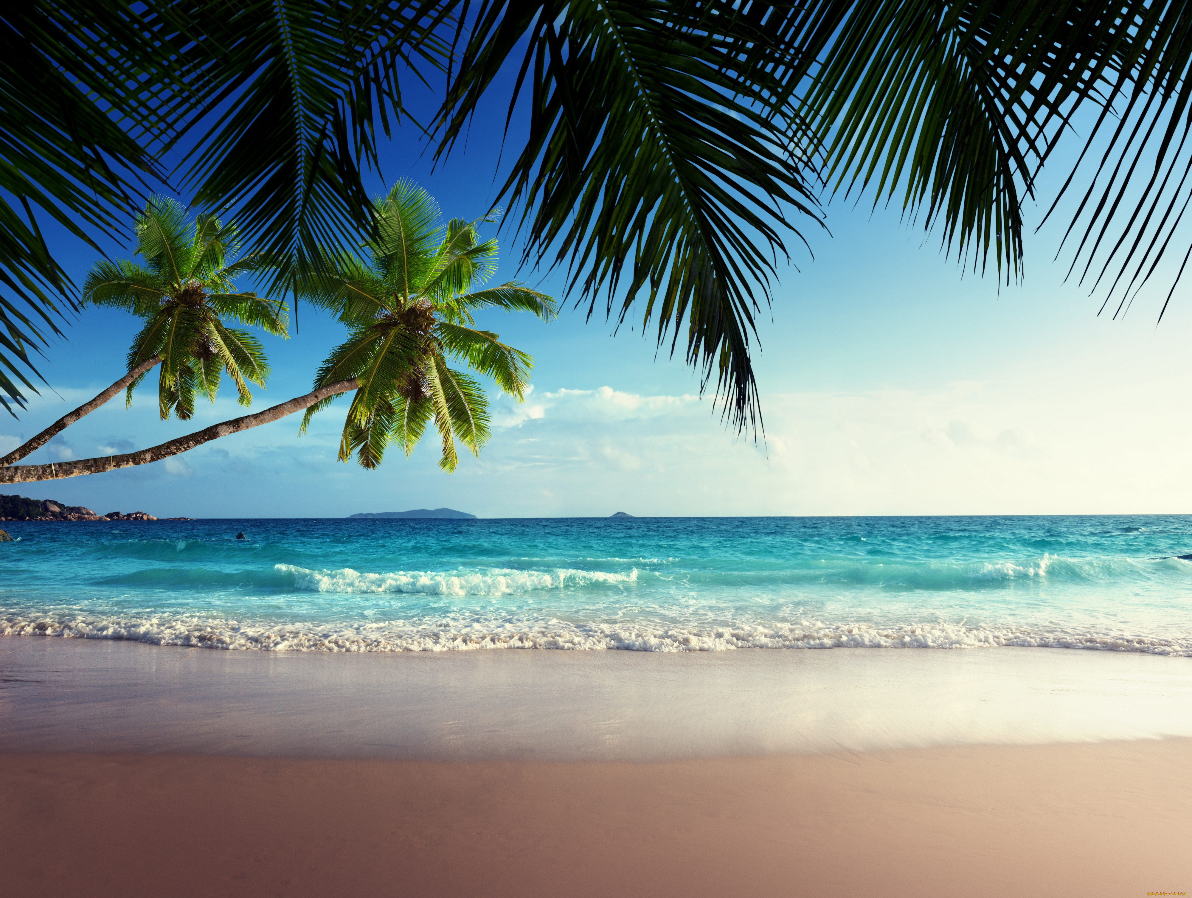 природа, тропики, небо, солнце, море, берег, пальмы, sea, tropical, paradise, sunshine, beach, coast, песок, пляж, vacation, sand, summer, palm, blue, emerald, ocean, sky, океан
